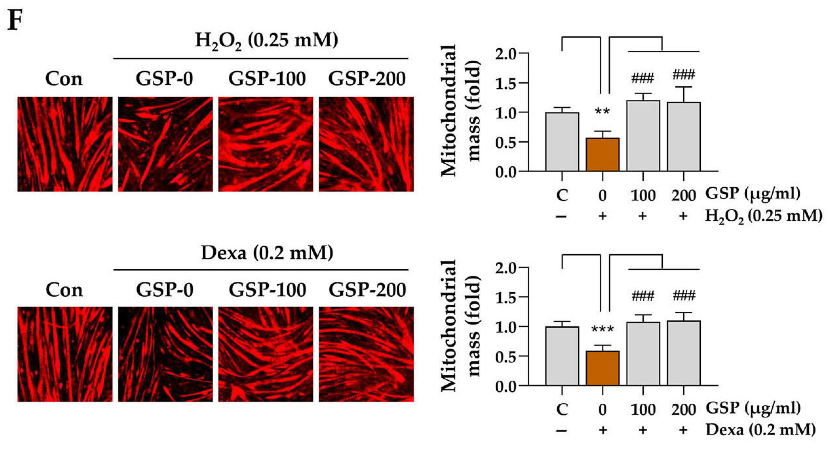 Antioxidants 14 00882 g002b