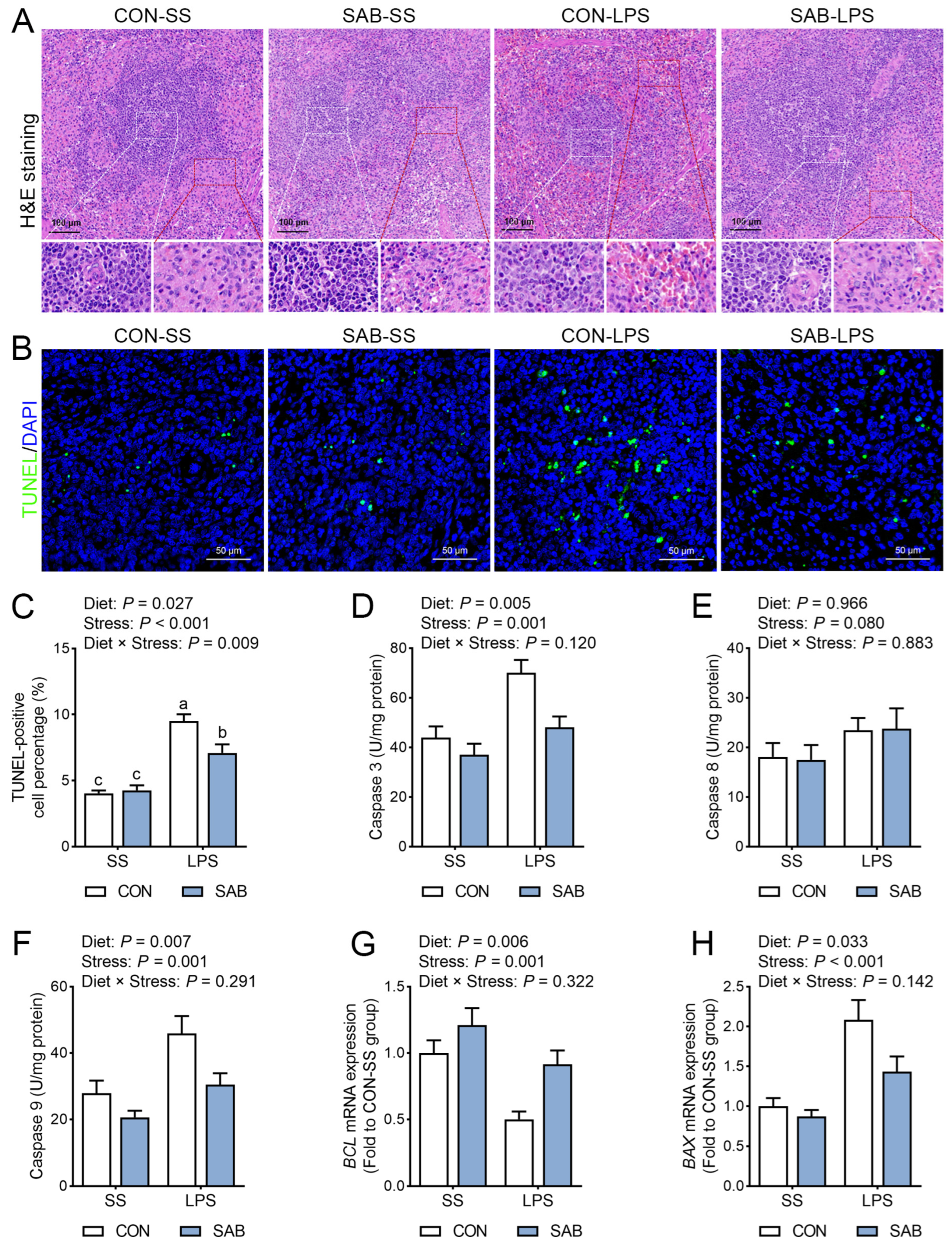 Antioxidants 14 00883 g004 Antioxidants 14 00883 g004