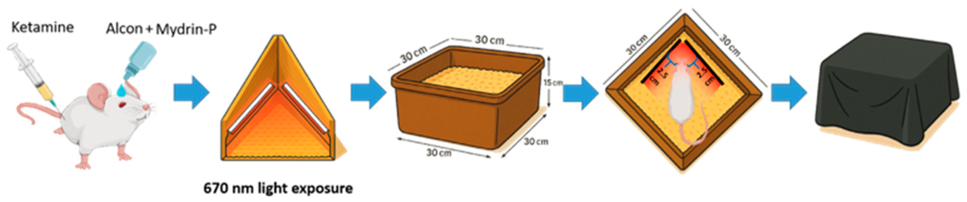 Antioxidants 14 00886 g002