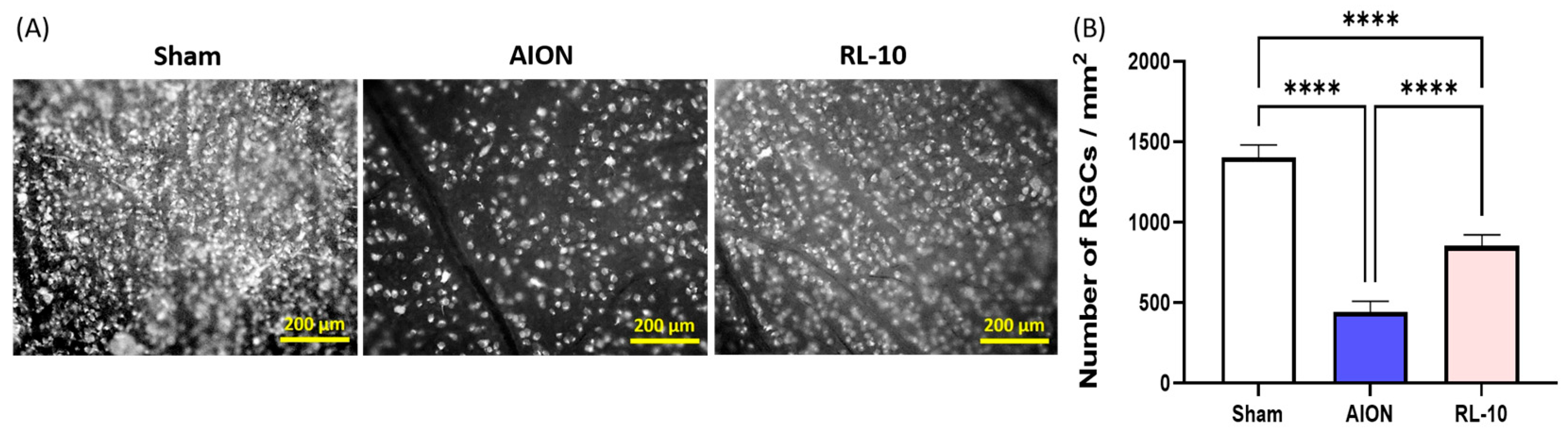 Antioxidants 14 00886 g004