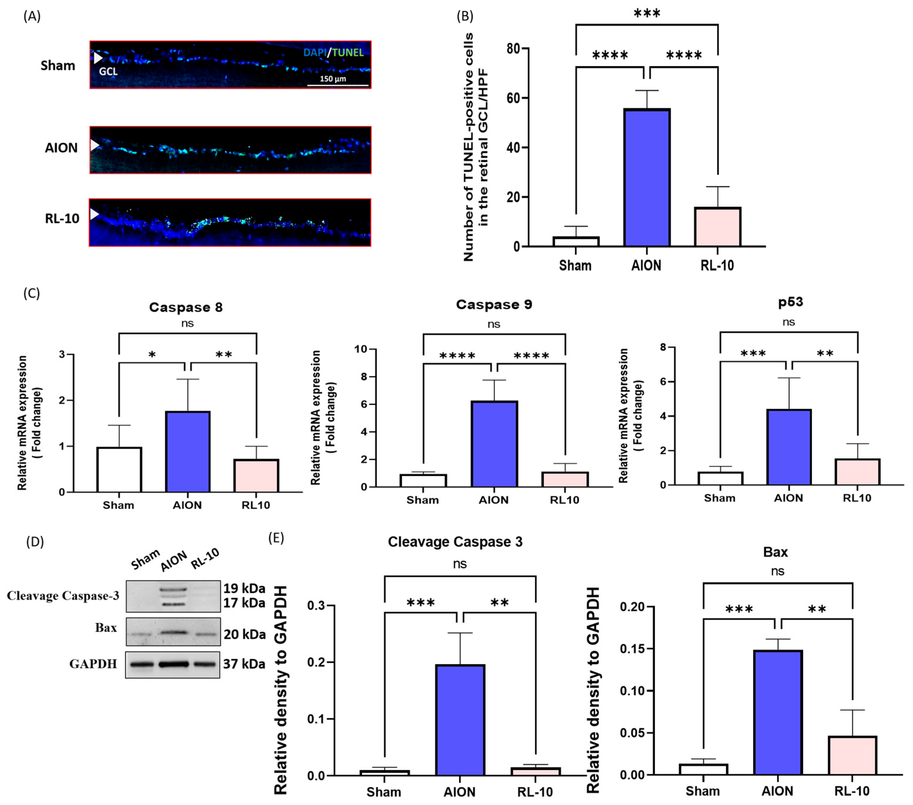 Antioxidants 14 00886 g005