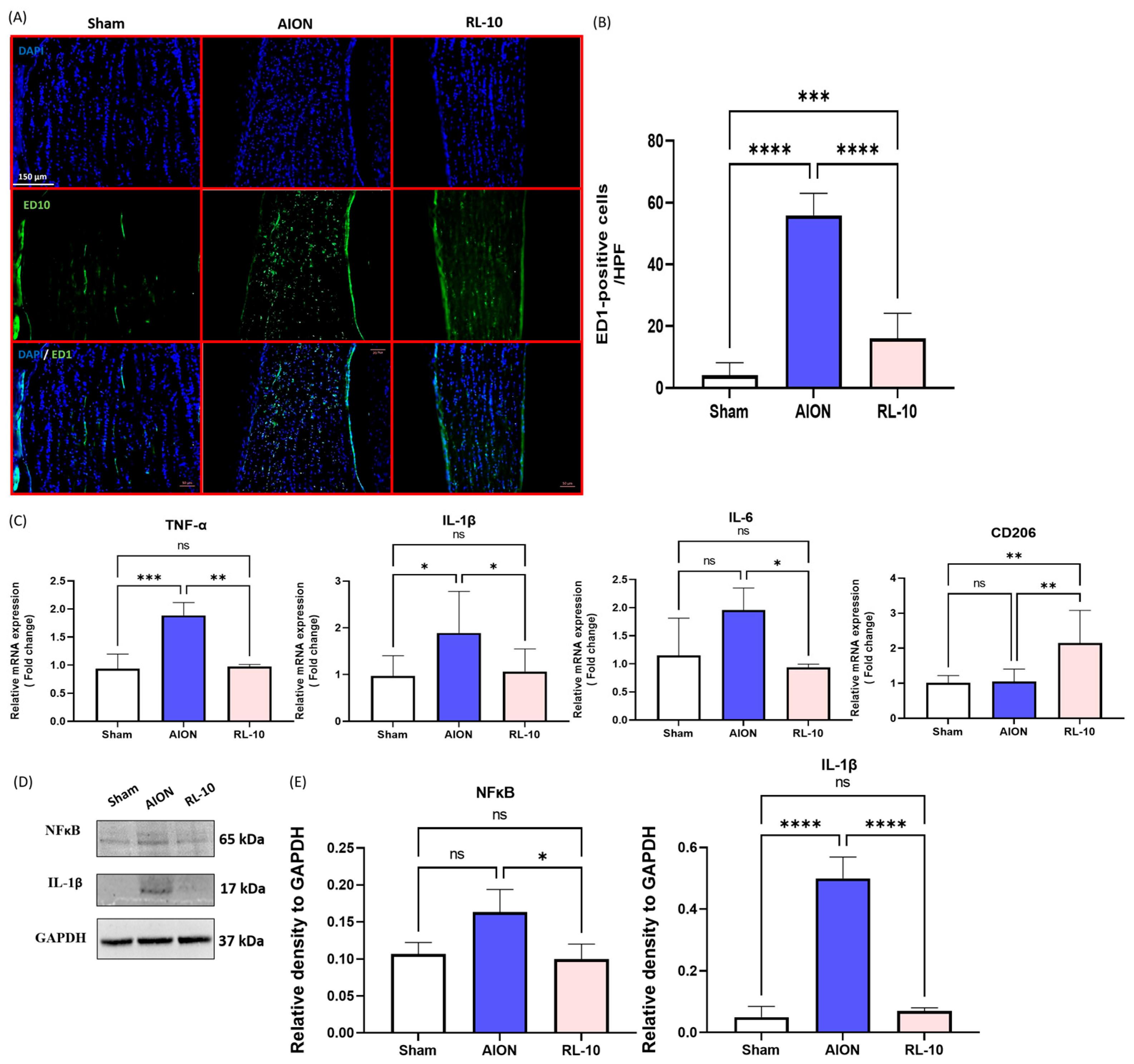 Antioxidants 14 00886 g006