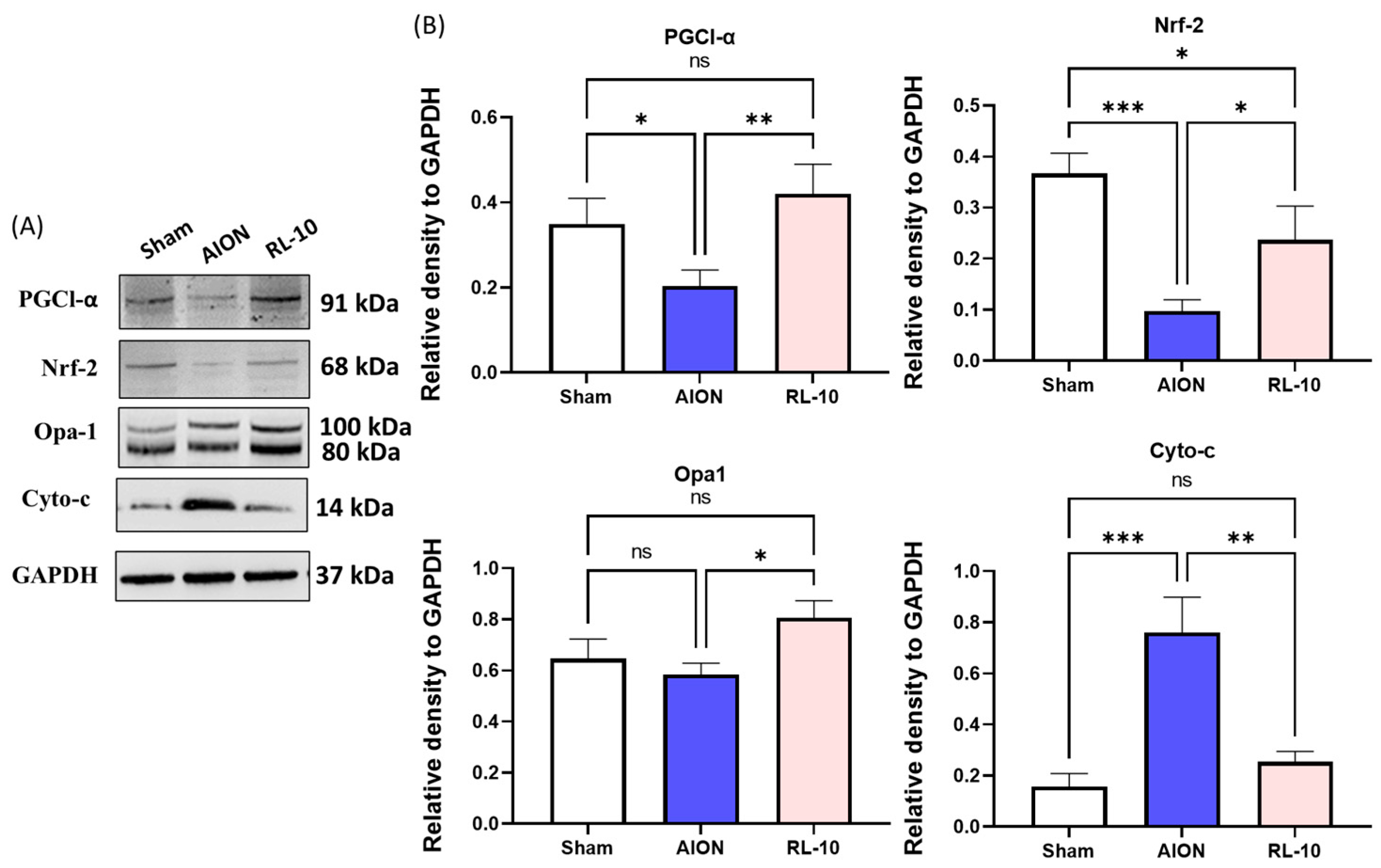 Antioxidants 14 00886 g008