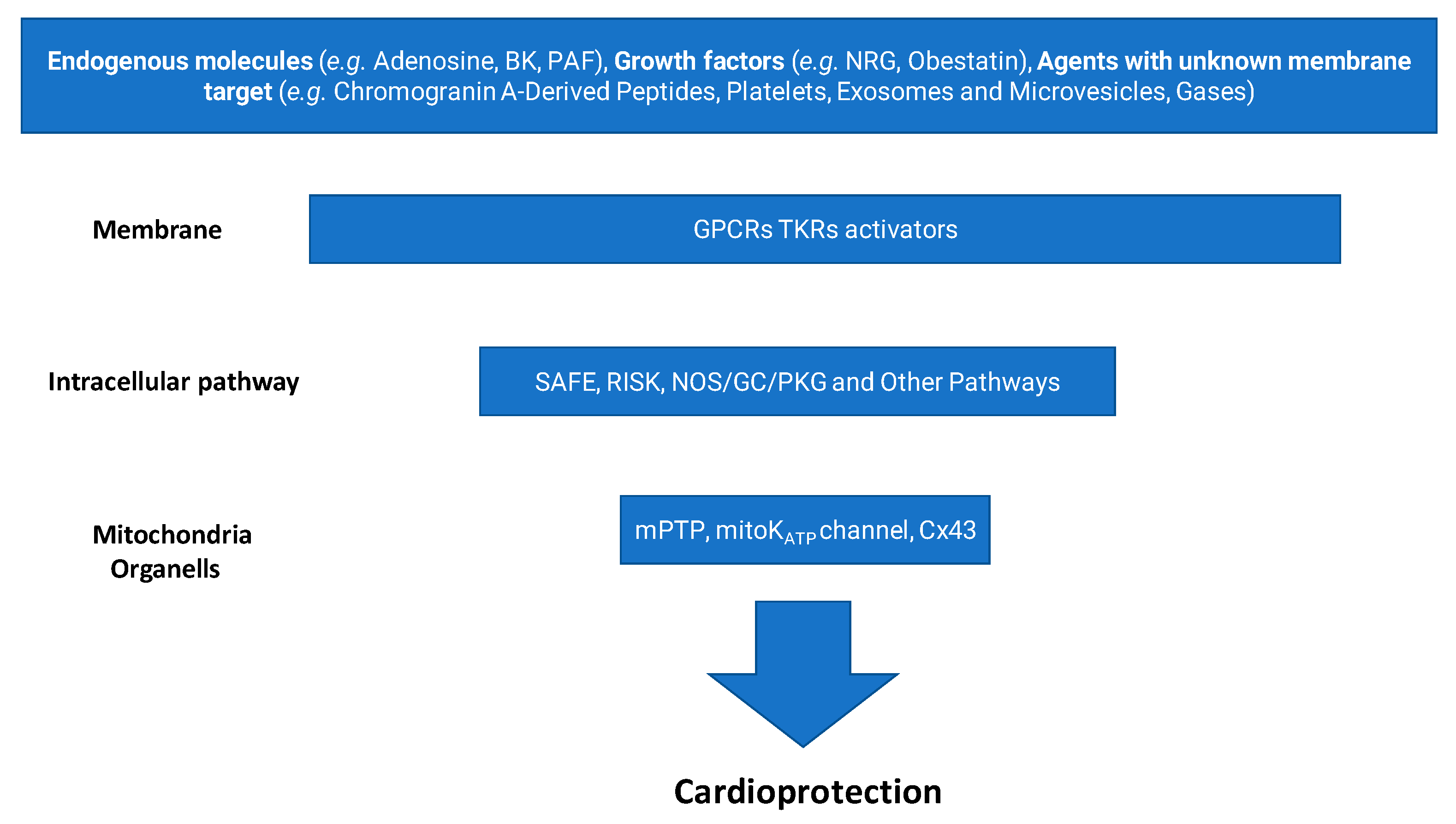 Antioxidants 14 00889 g001