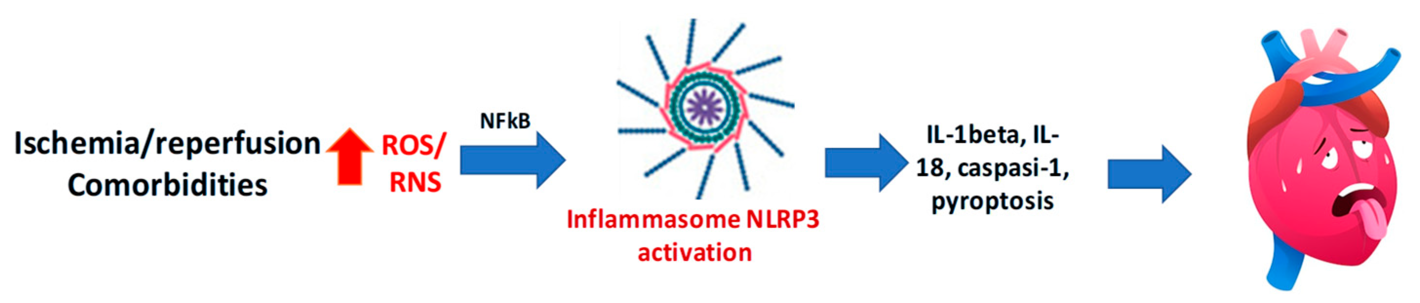 Antioxidants 14 00889 g004