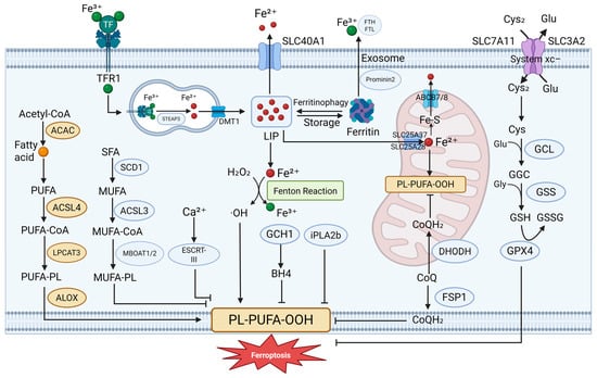 Antioxidants 14 00890 g001