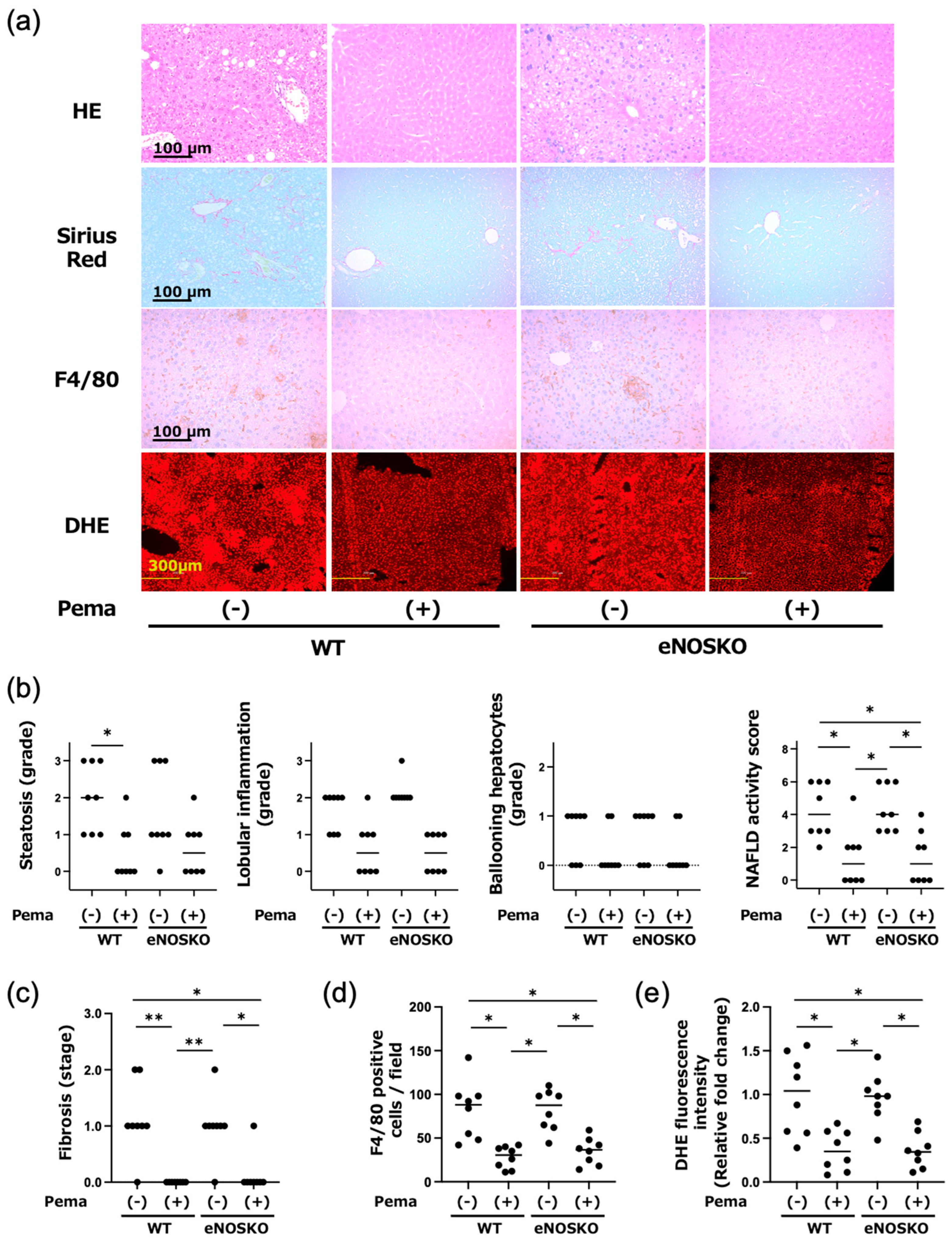 Antioxidants 14 00891 g002