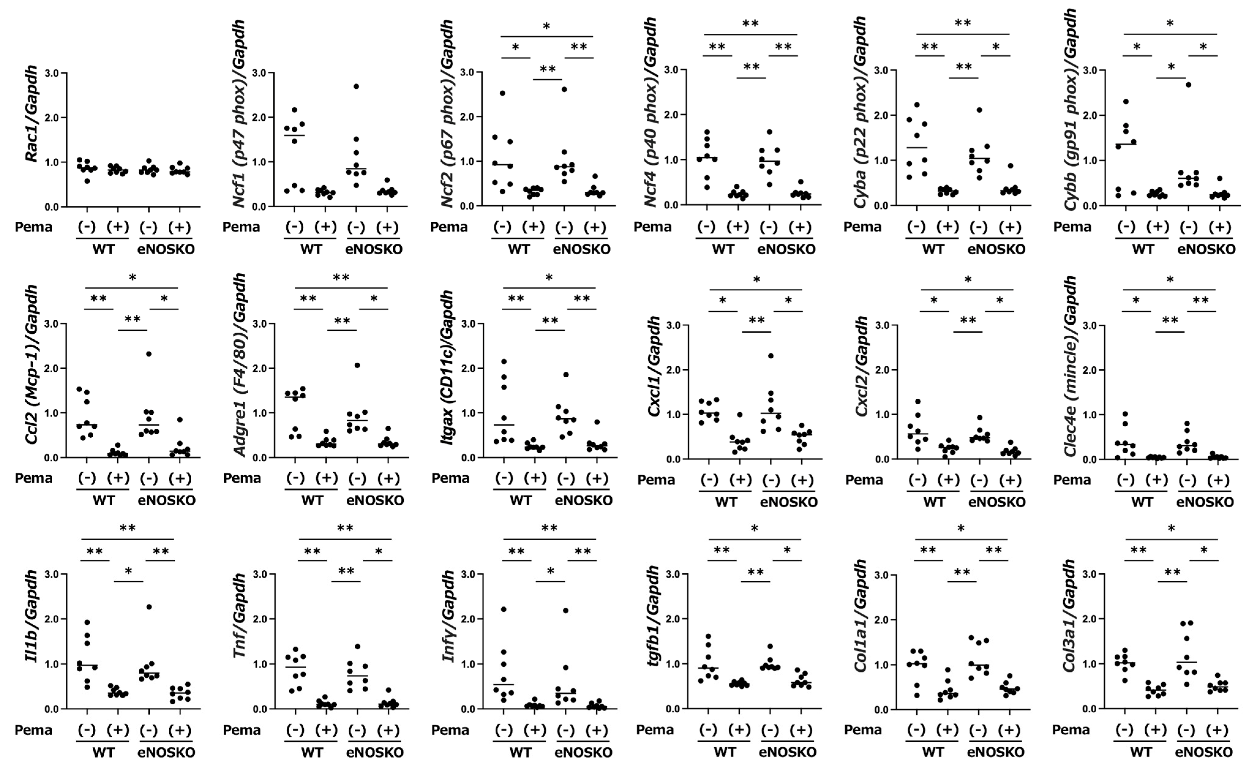 Antioxidants 14 00891 g003