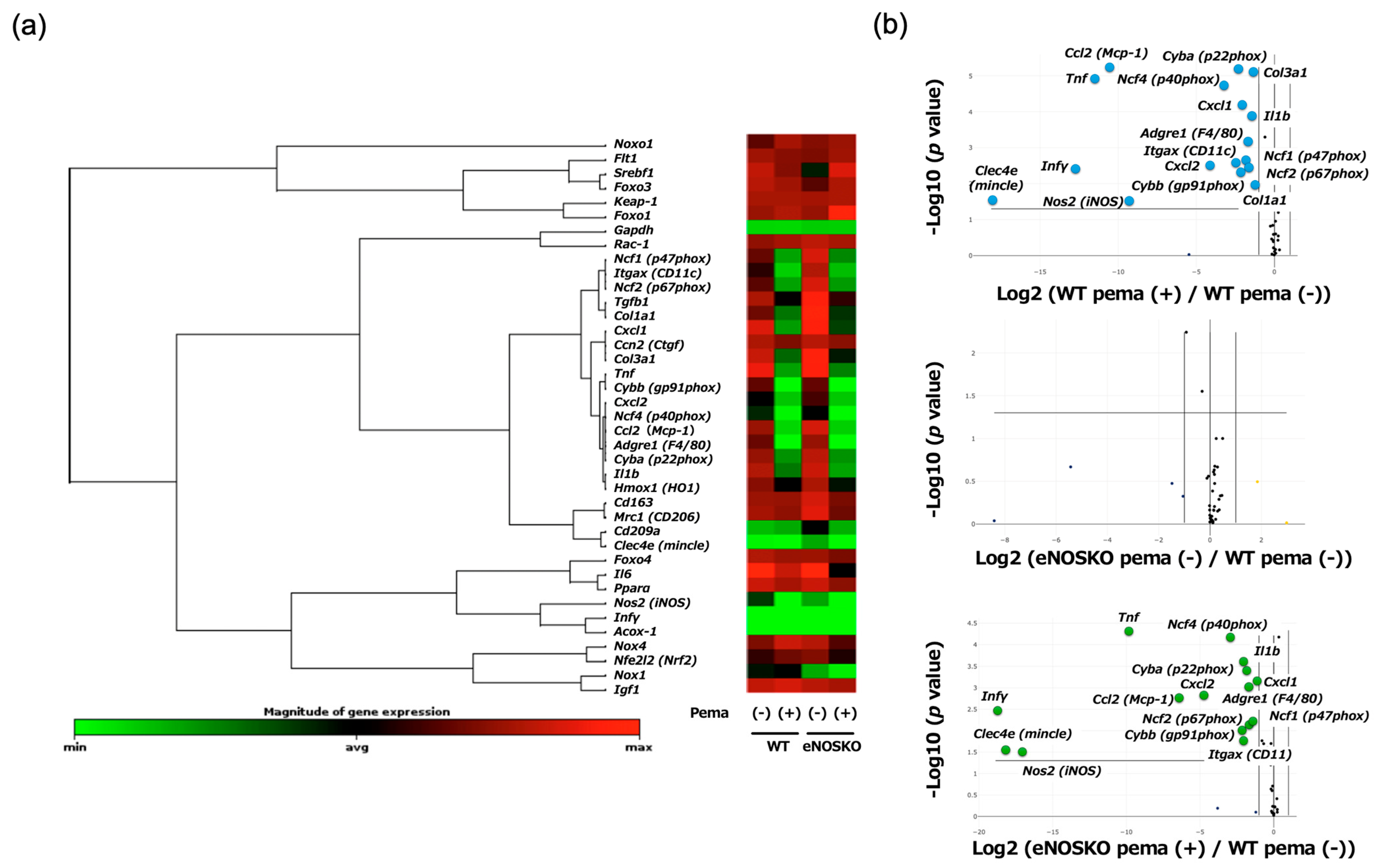 Antioxidants 14 00891 g004