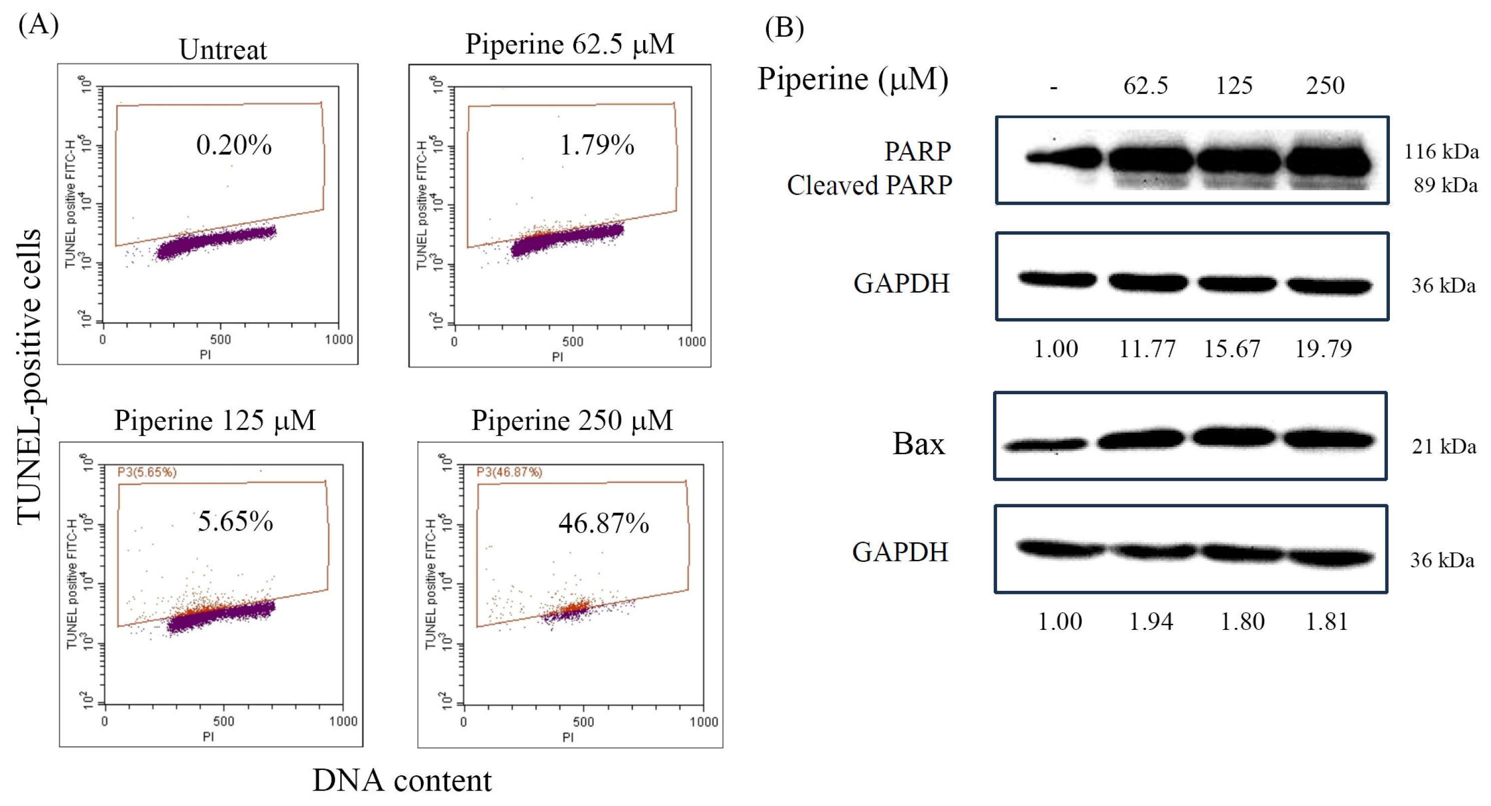 Antioxidants 14 00892 g003