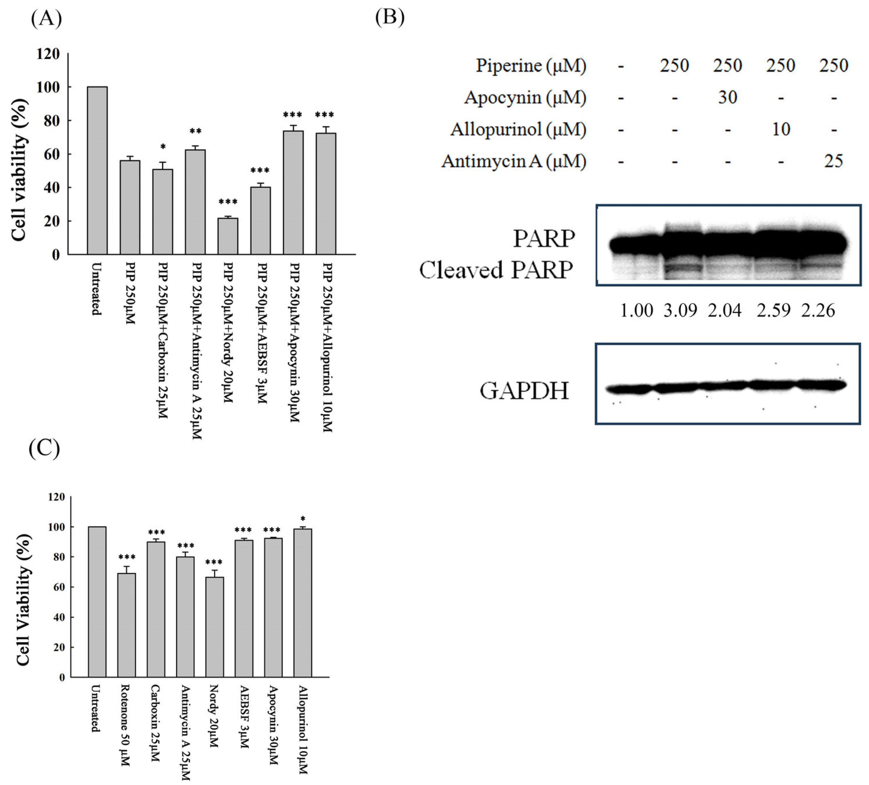 Antioxidants 14 00892 g005
