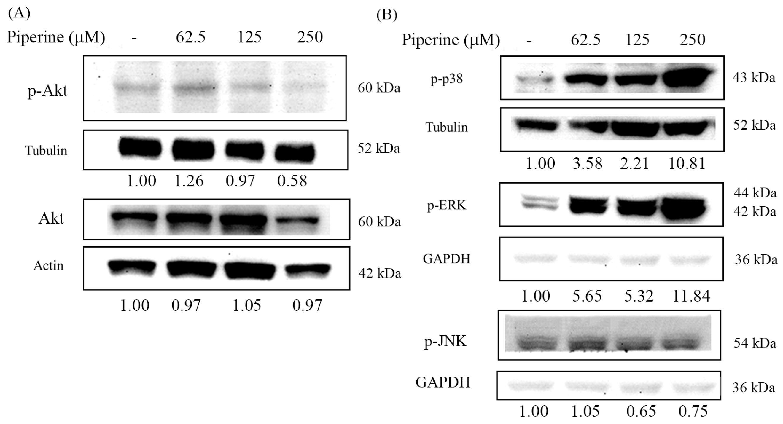 Antioxidants 14 00892 g006