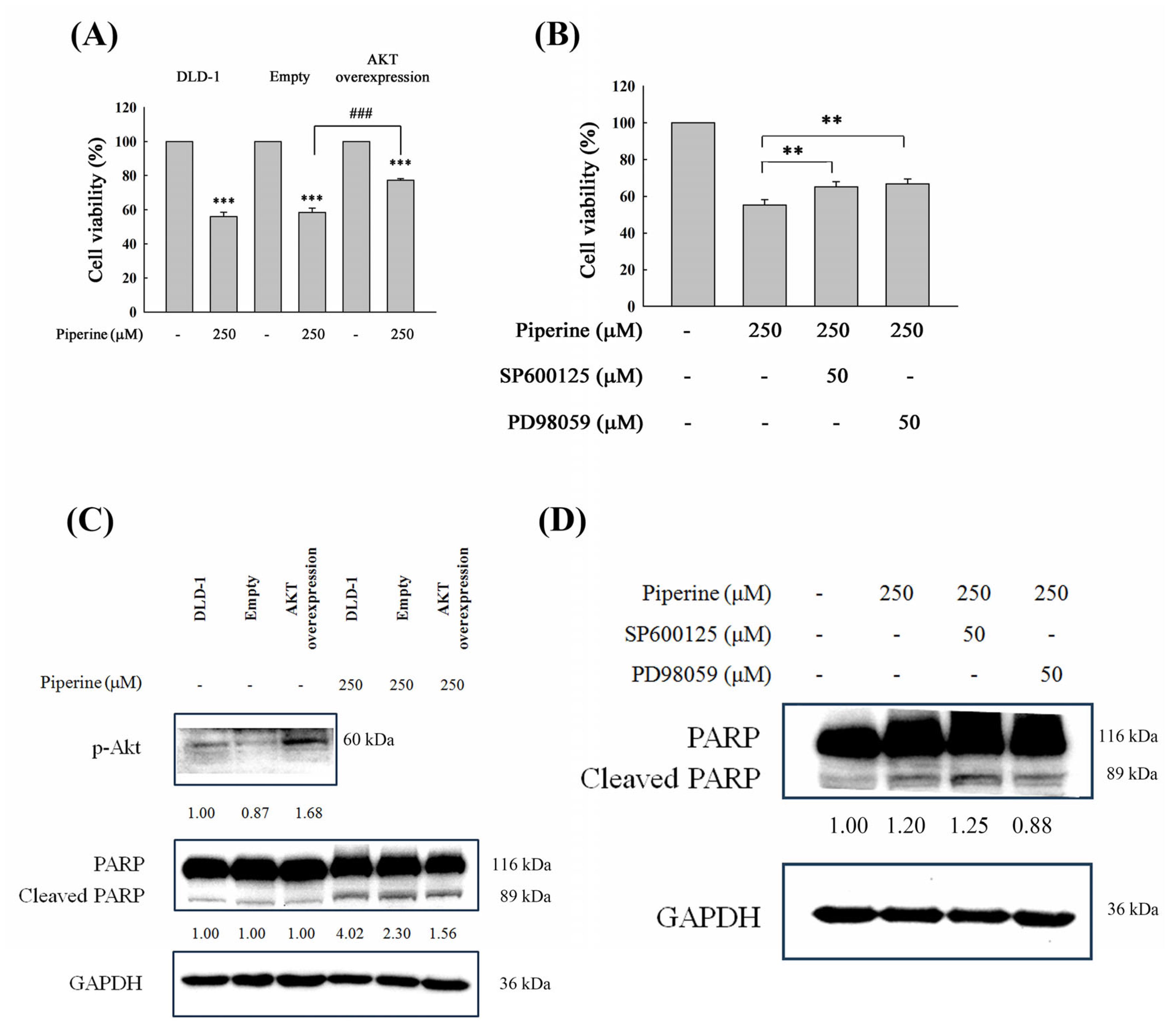 Antioxidants 14 00892 g007