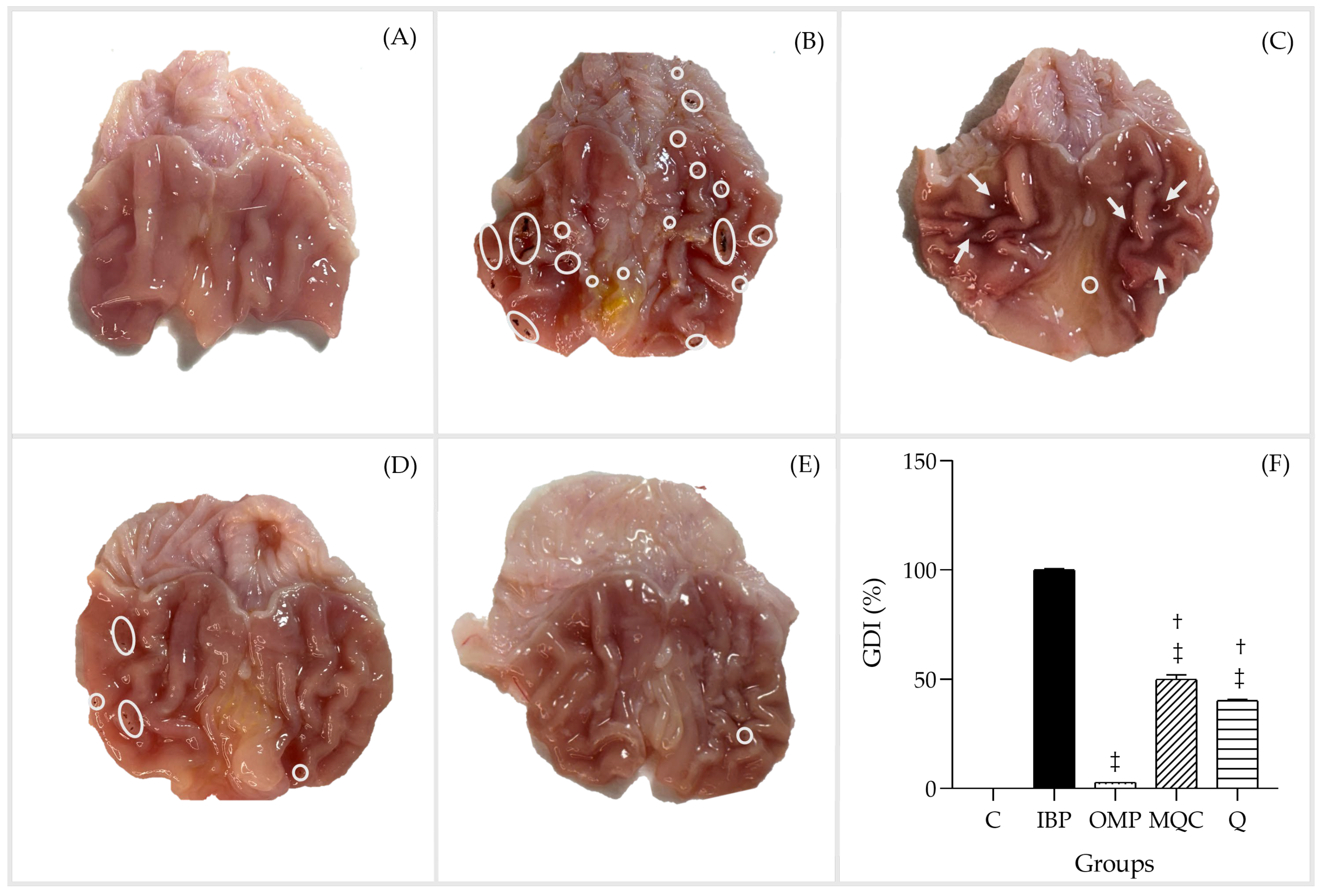 Antioxidants 14 00893 g003