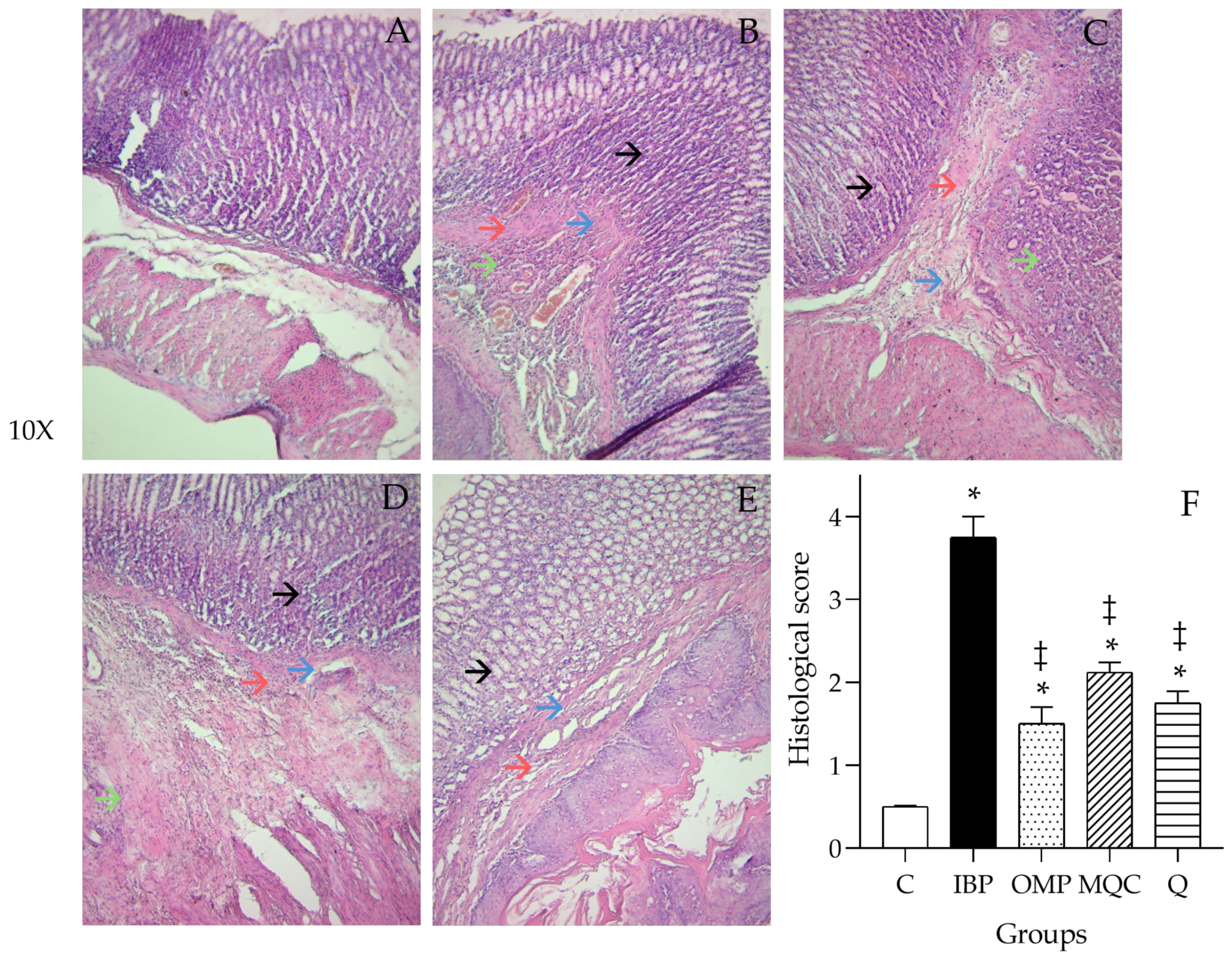 Antioxidants 14 00893 g004
