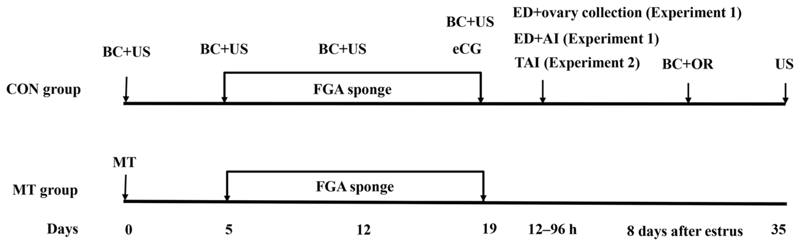 Antioxidants 14 00895 g001 Antioxidants 14 00895 g001