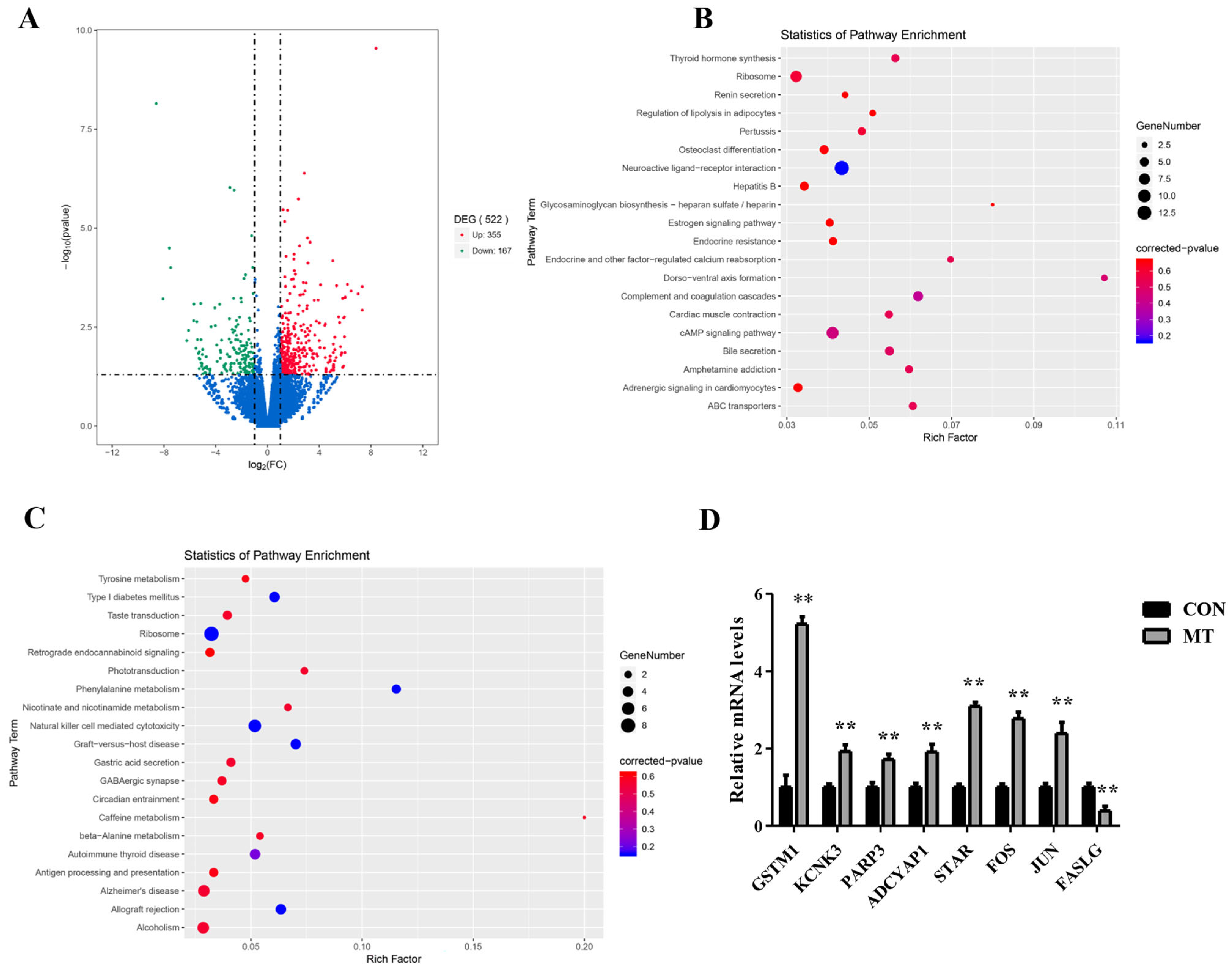 Antioxidants 14 00895 g006 Antioxidants 14 00895 g006