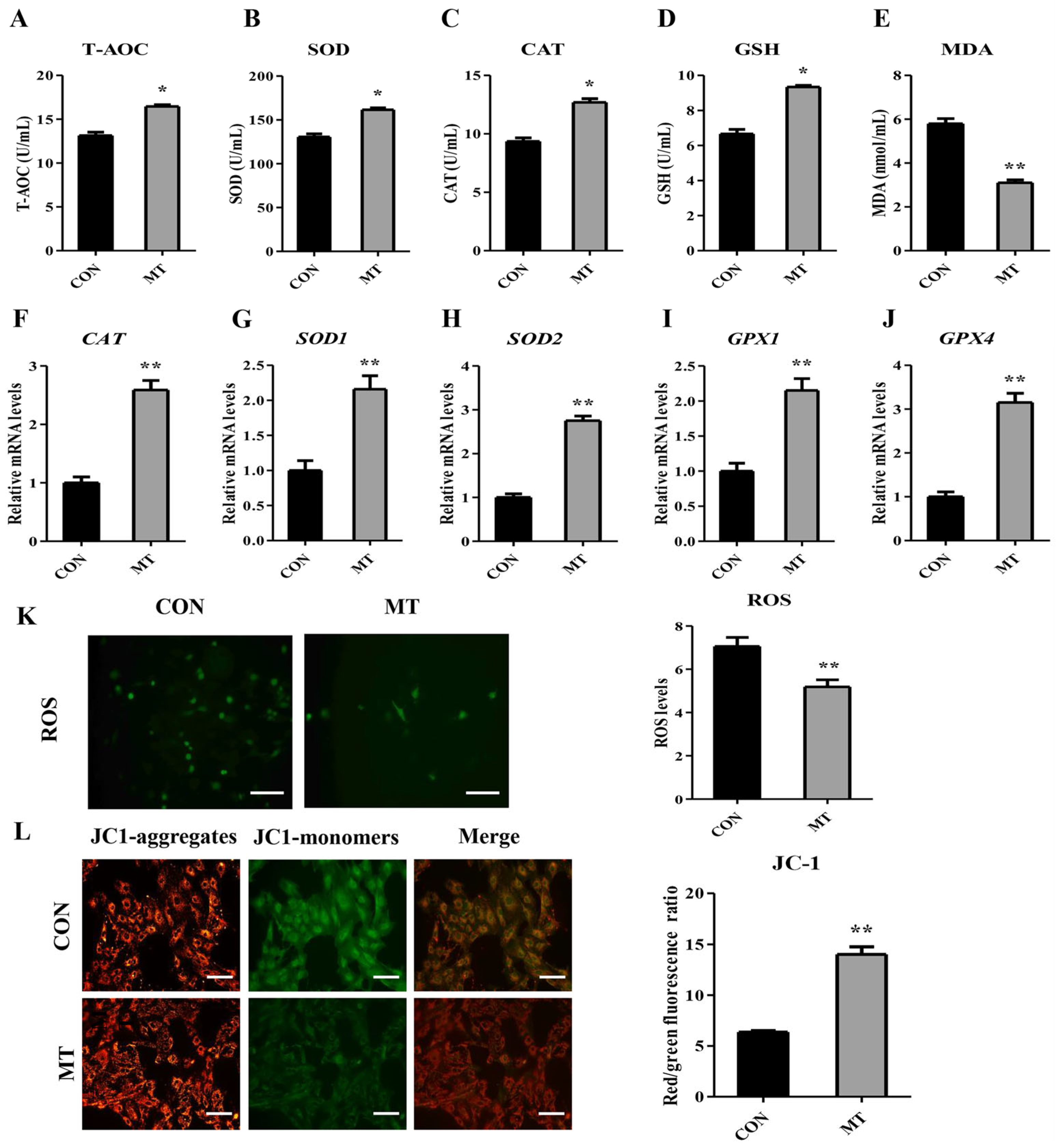 Antioxidants 14 00895 g008 Antioxidants 14 00895 g008