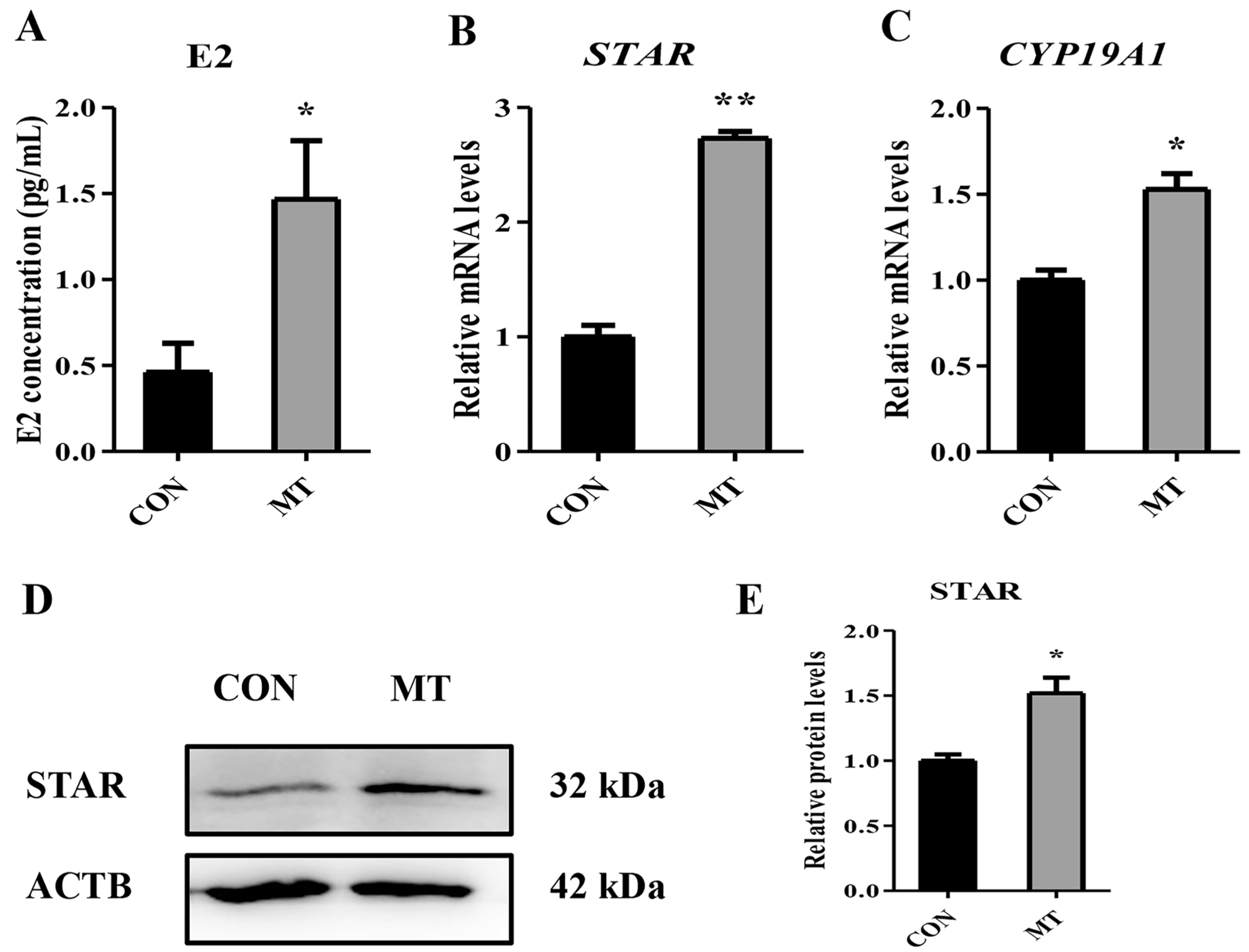 Antioxidants 14 00895 g010 Antioxidants 14 00895 g010