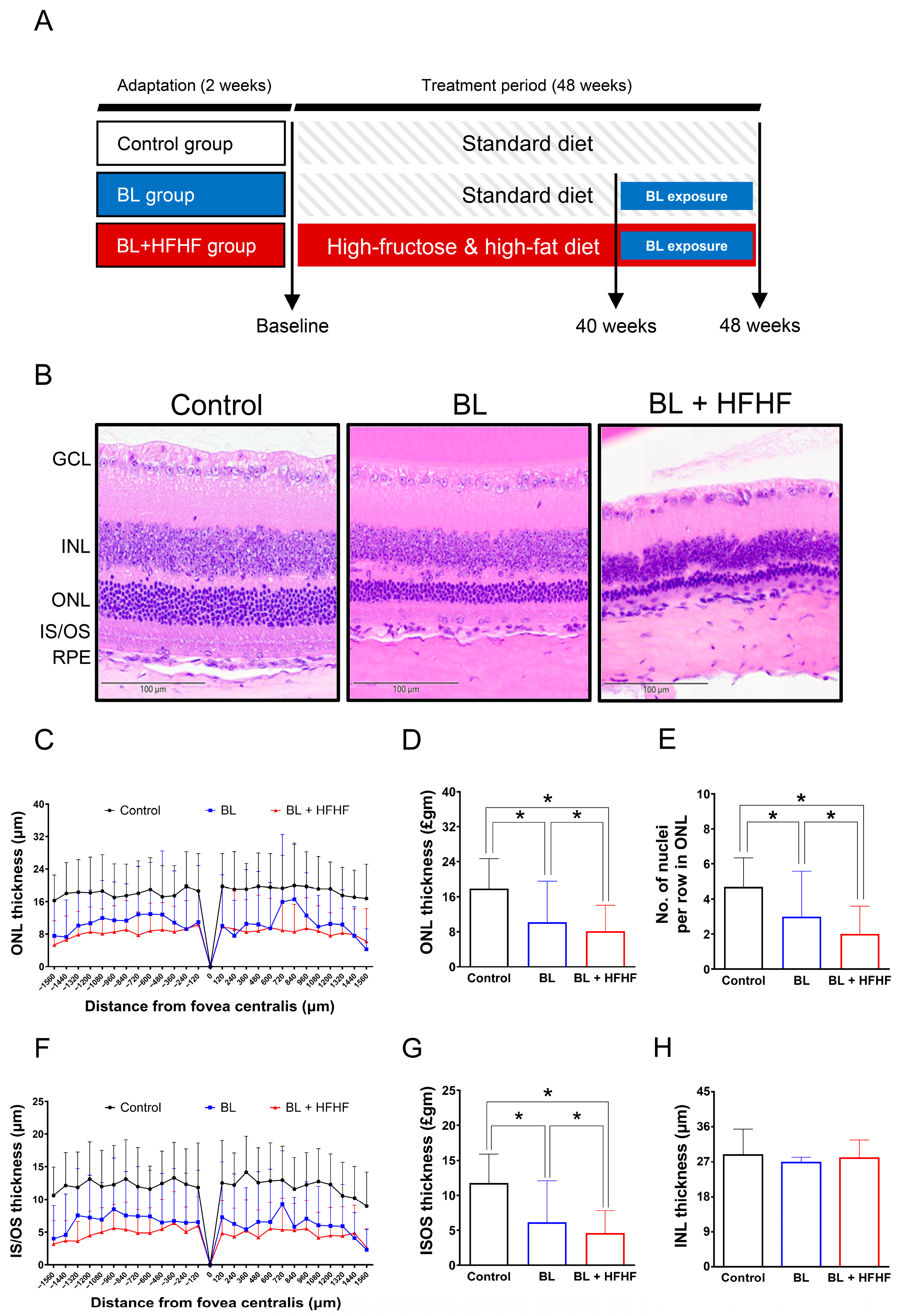 Antioxidants 14 00898 g001