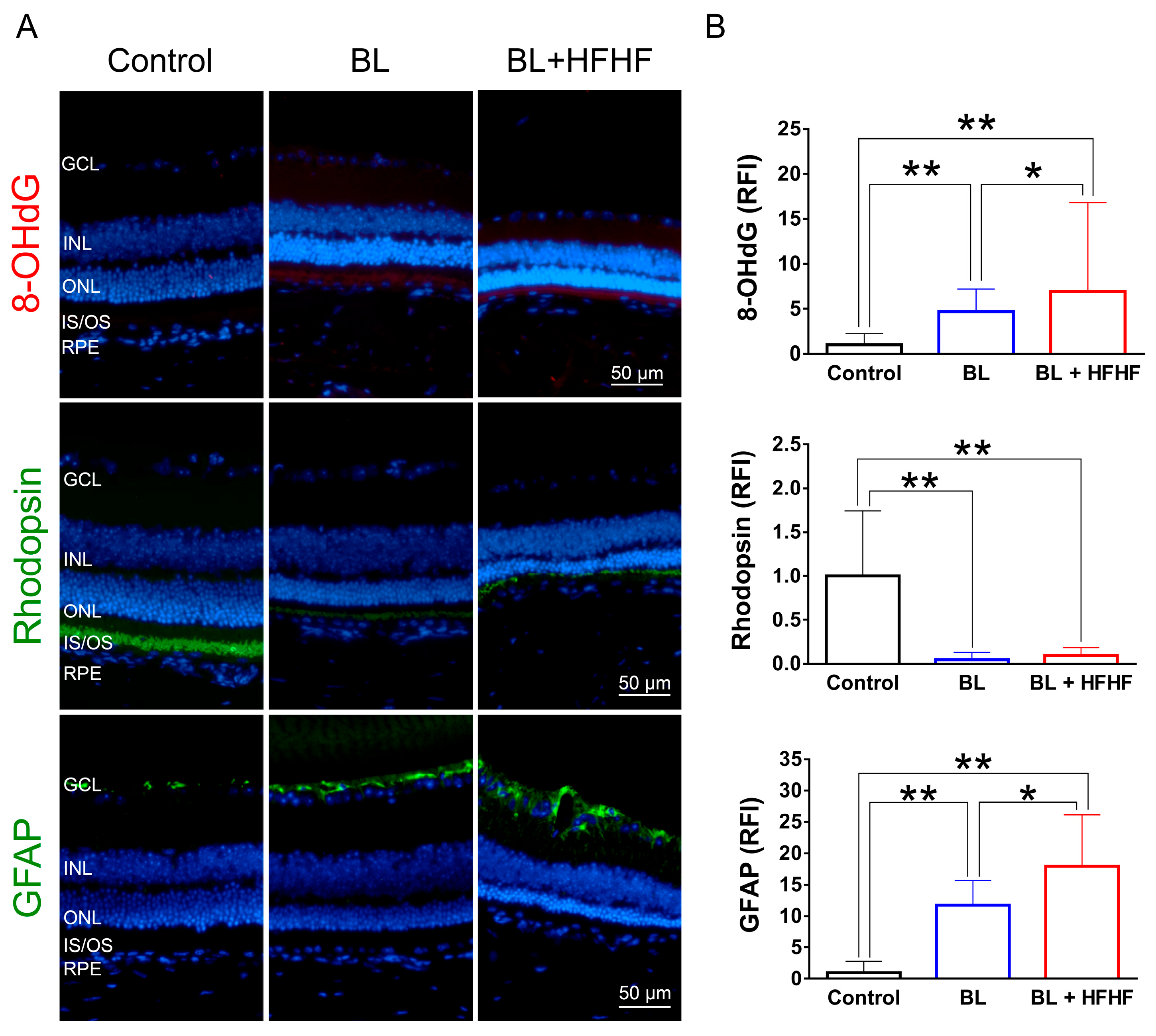 Antioxidants 14 00898 g002