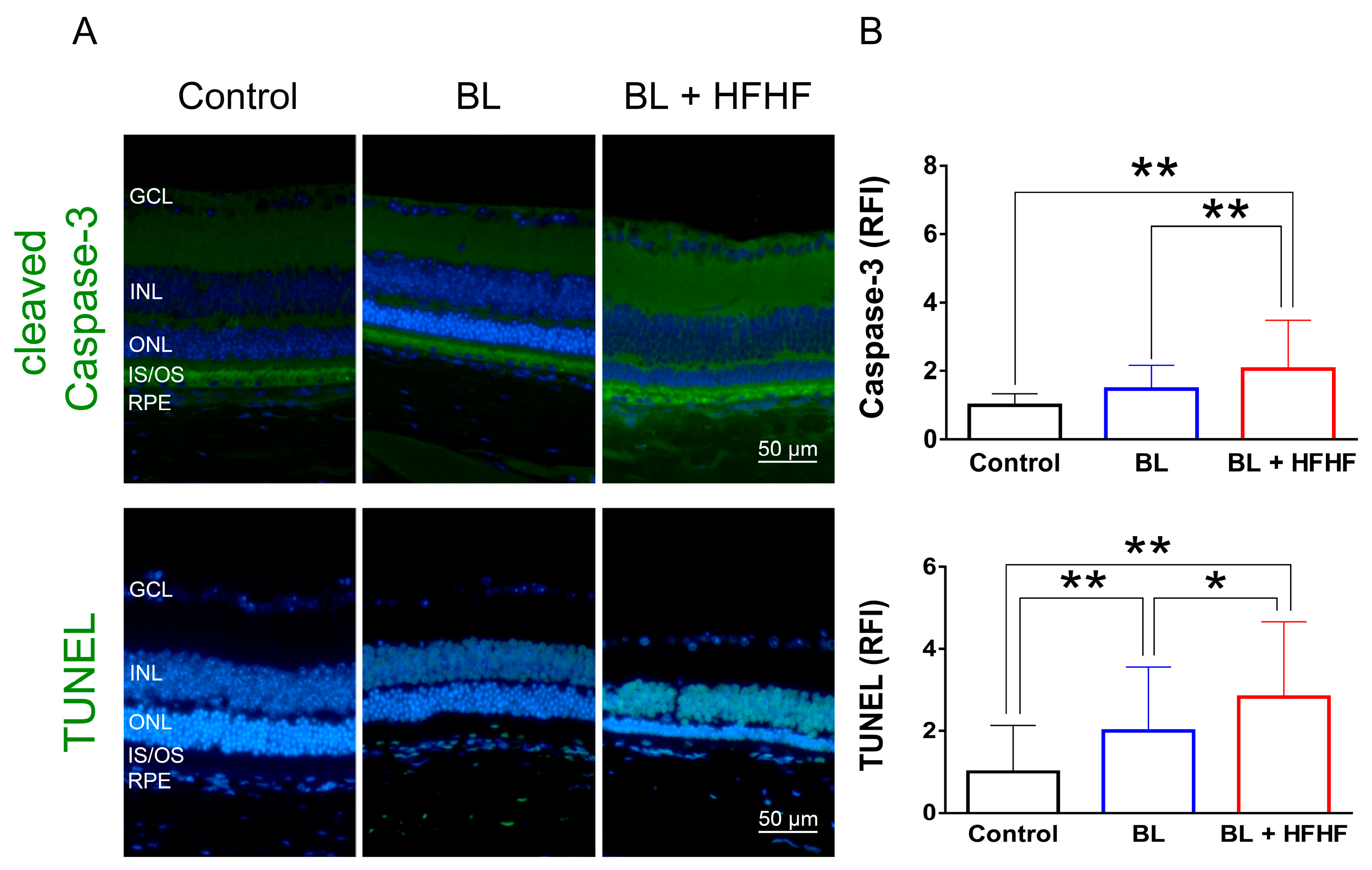 Antioxidants 14 00898 g003