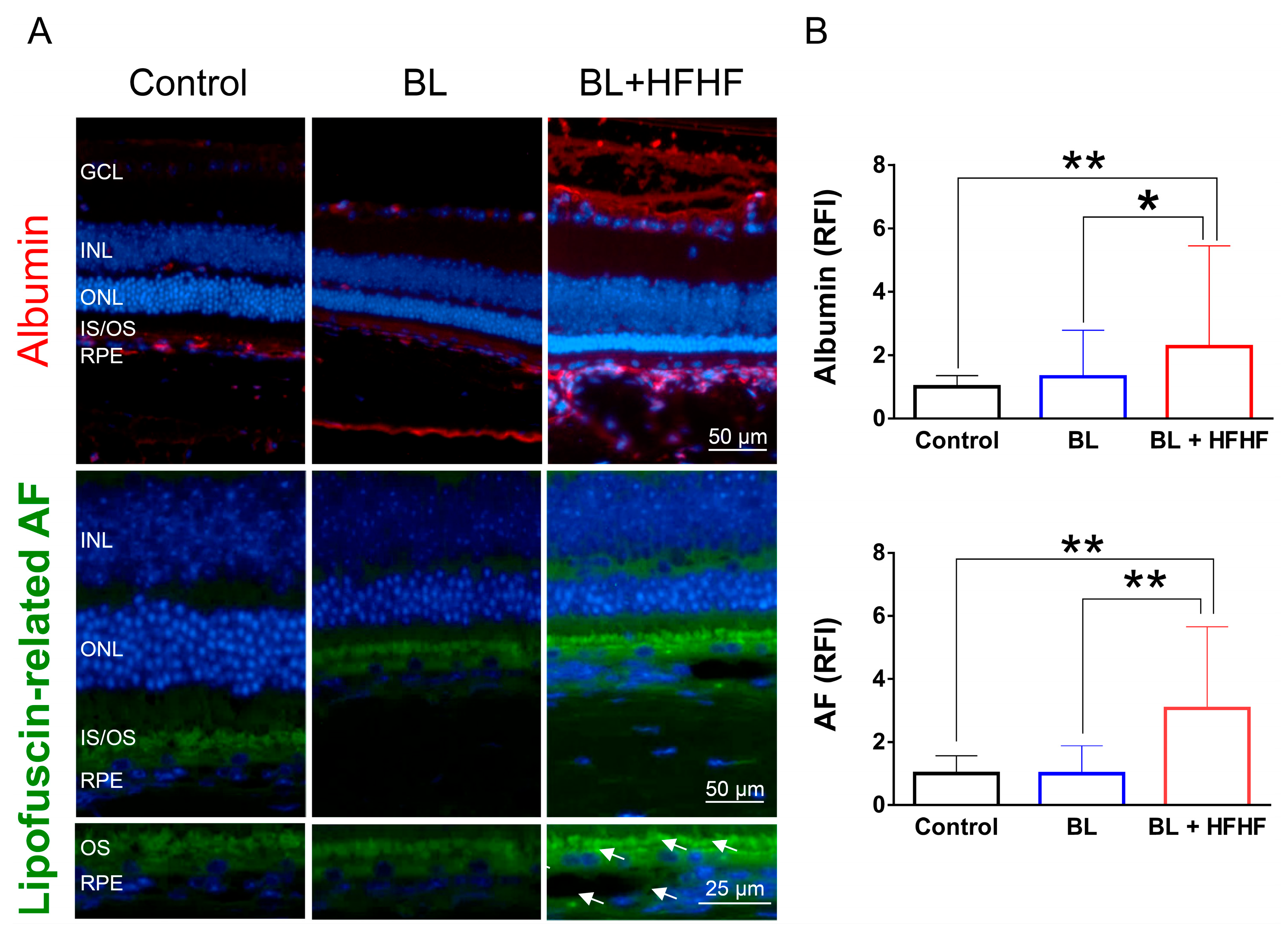 Antioxidants 14 00898 g004
