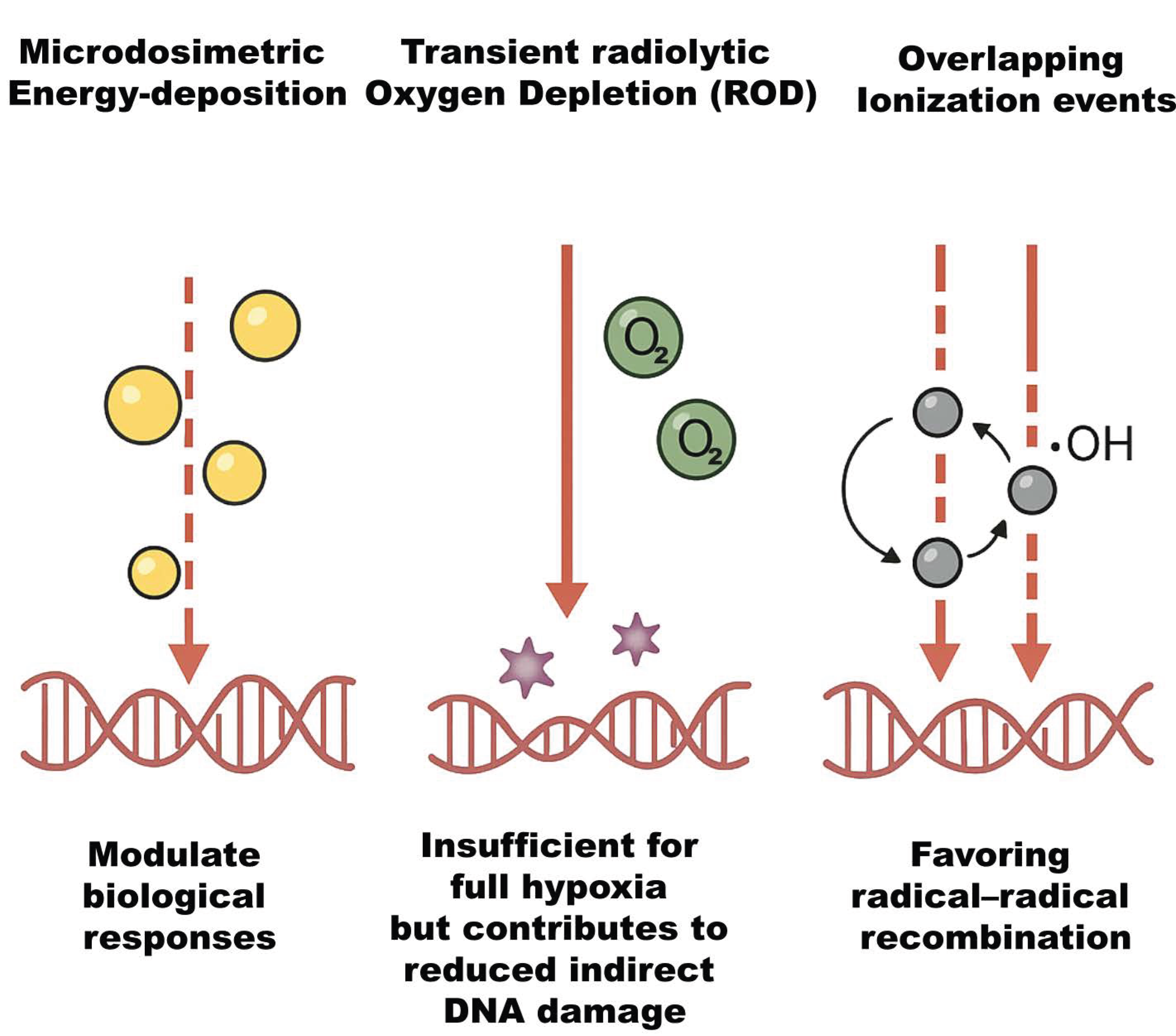 Antioxidants 14 00899 g001