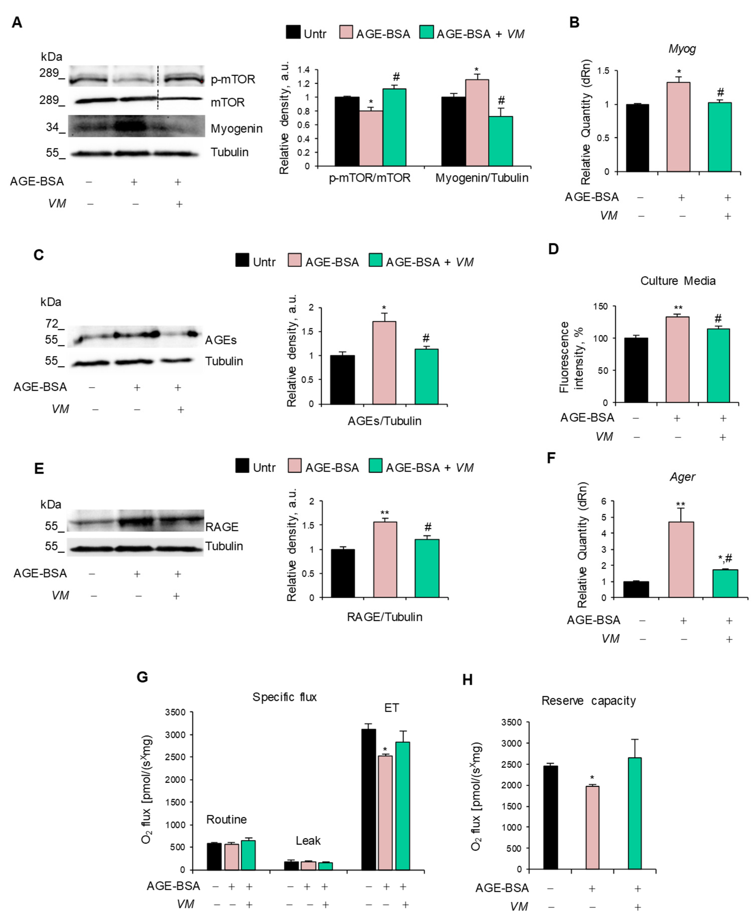 Antioxidants 14 00900 g005