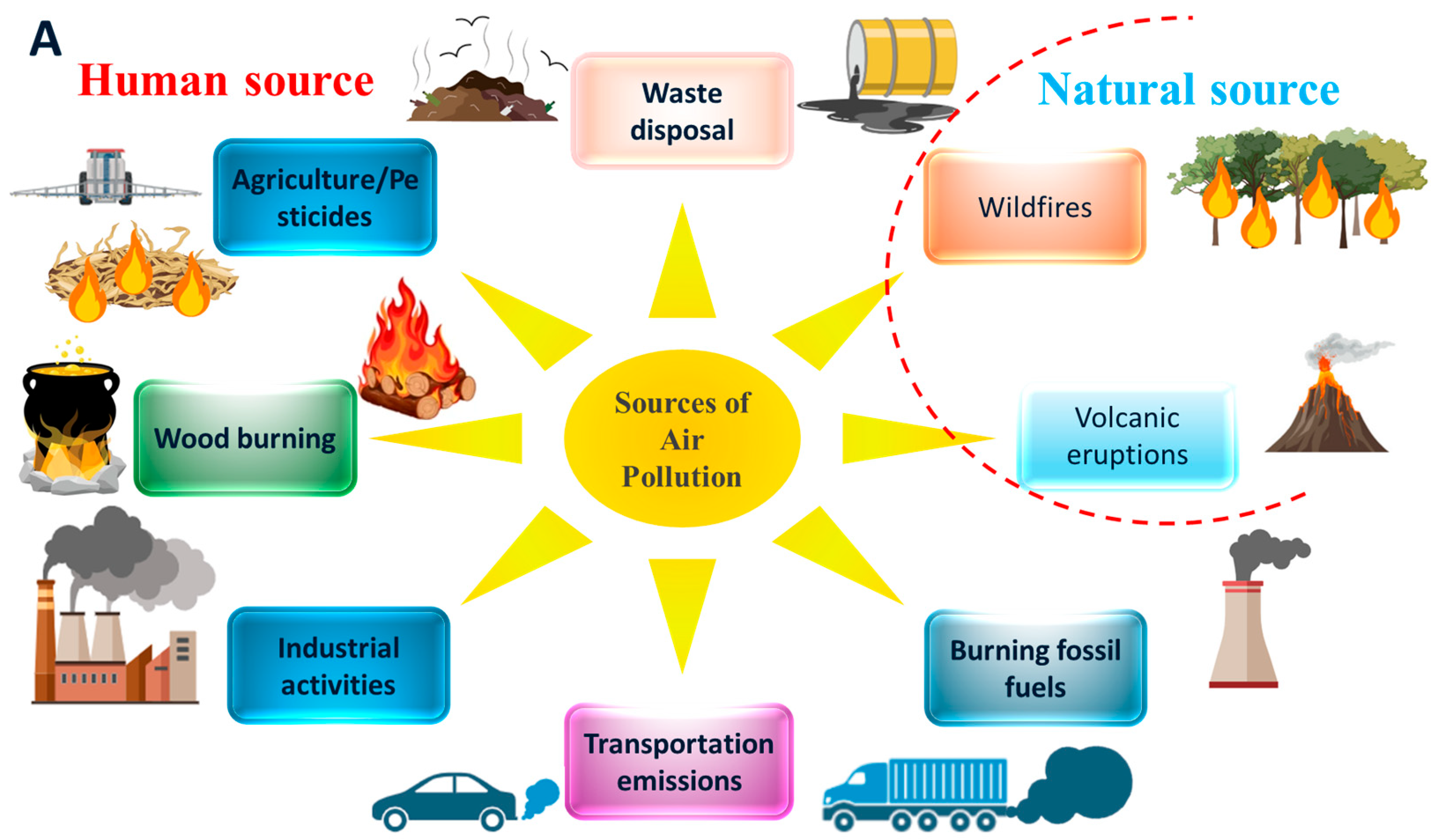Antioxidants 14 00907 g001a