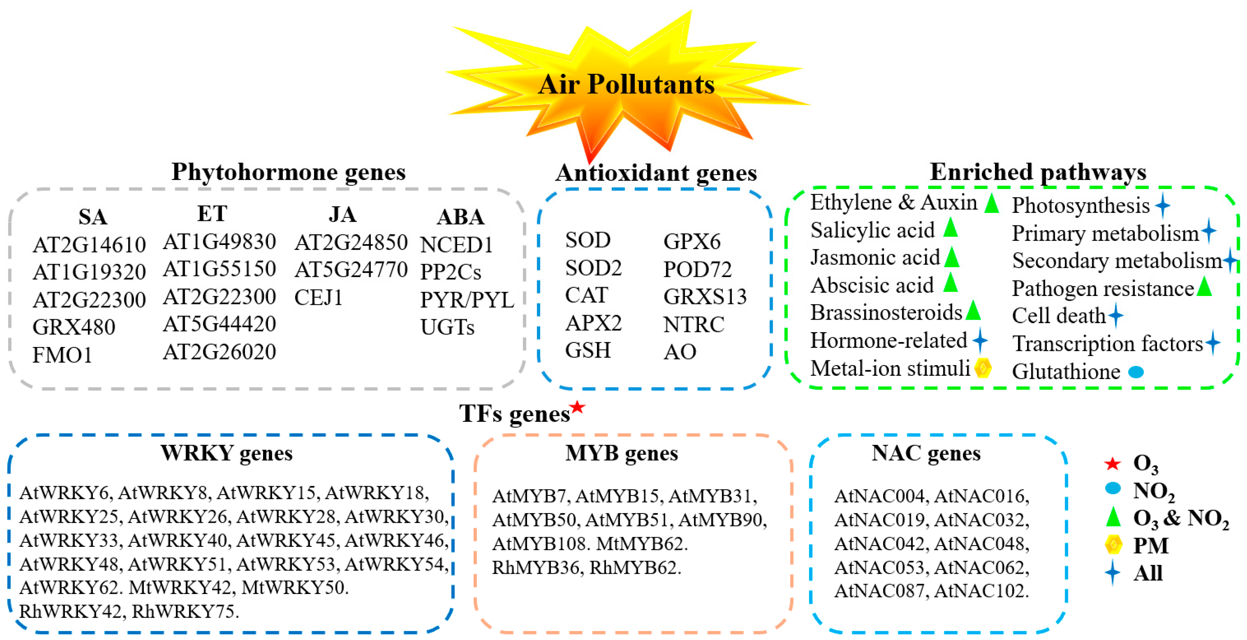 Antioxidants 14 00907 g003
