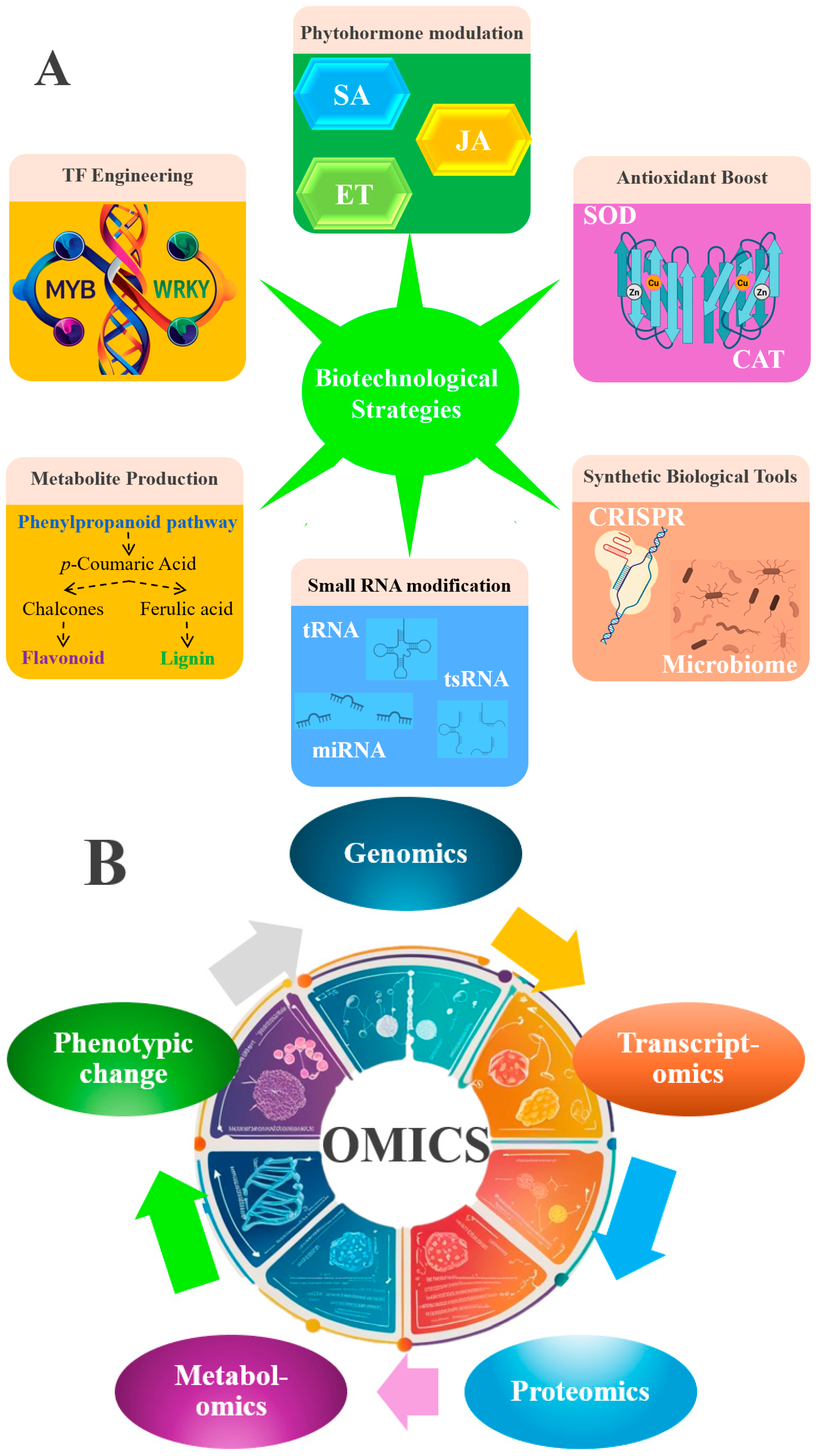 Antioxidants 14 00907 g005