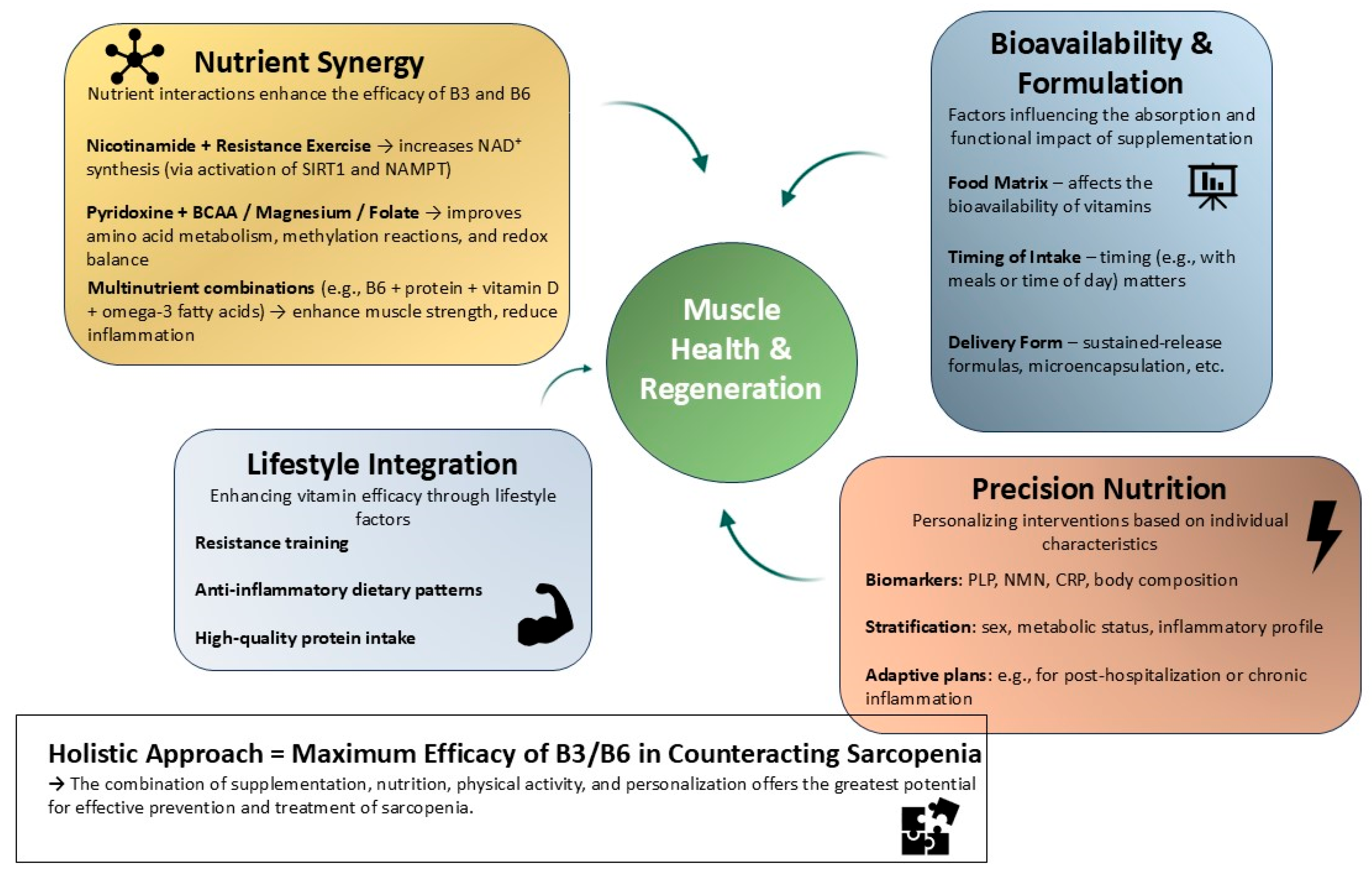 Antioxidants 14 00911 g005