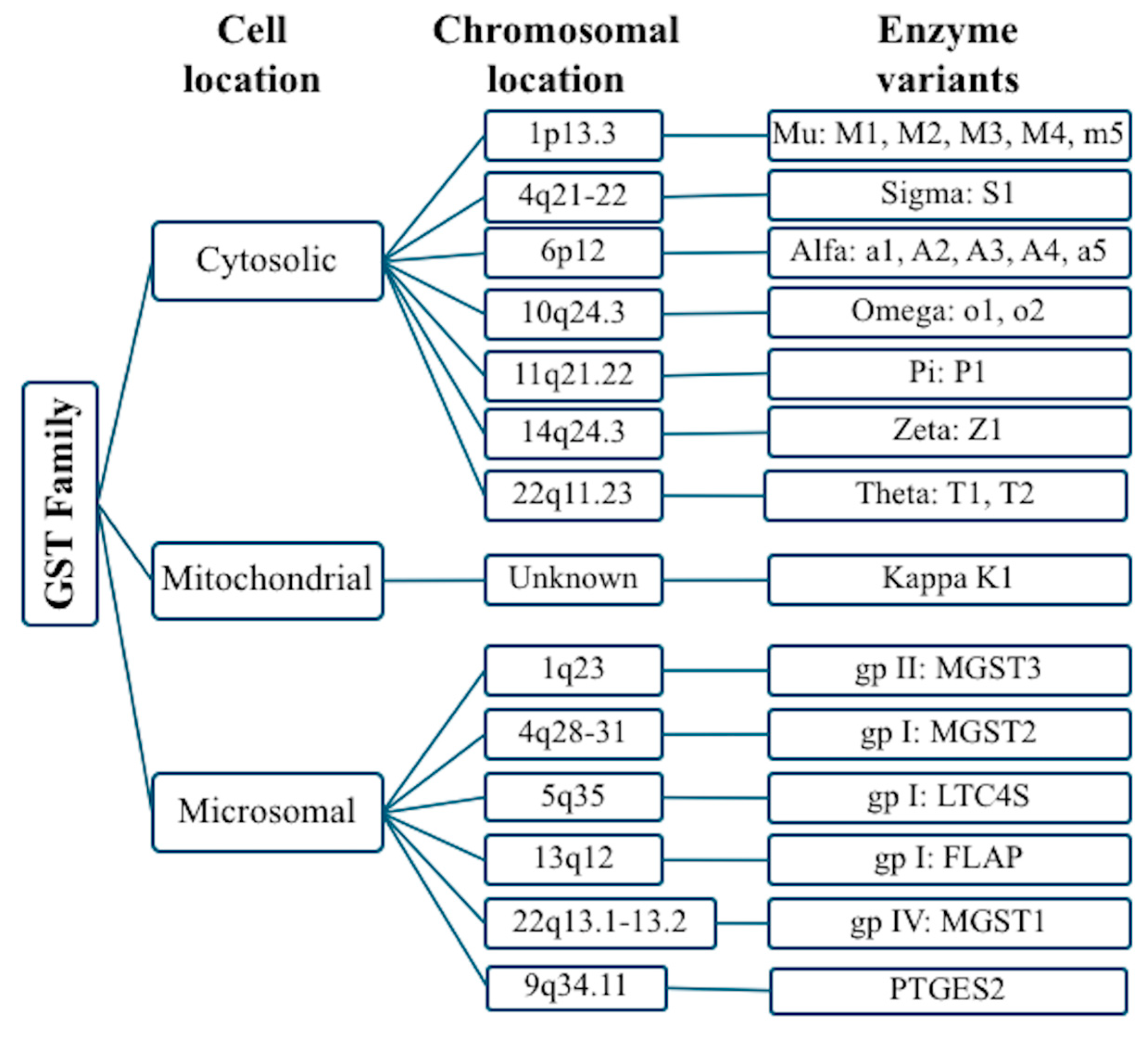 Antioxidants 14 00912 g001