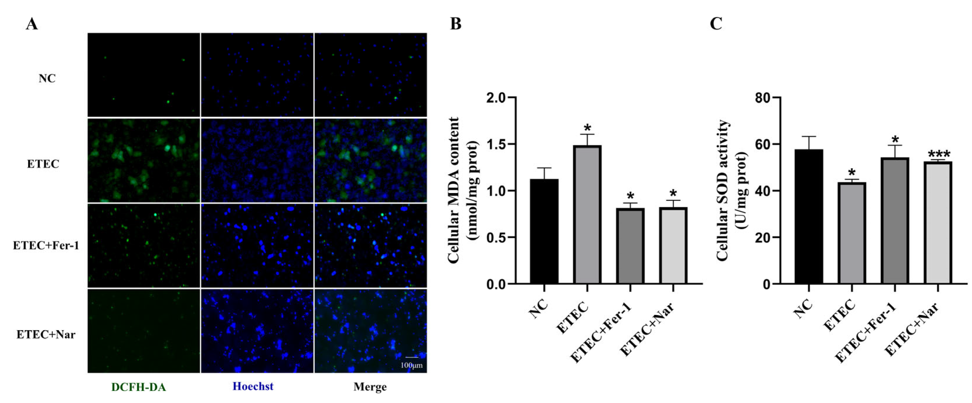 Antioxidants 14 00914 g003