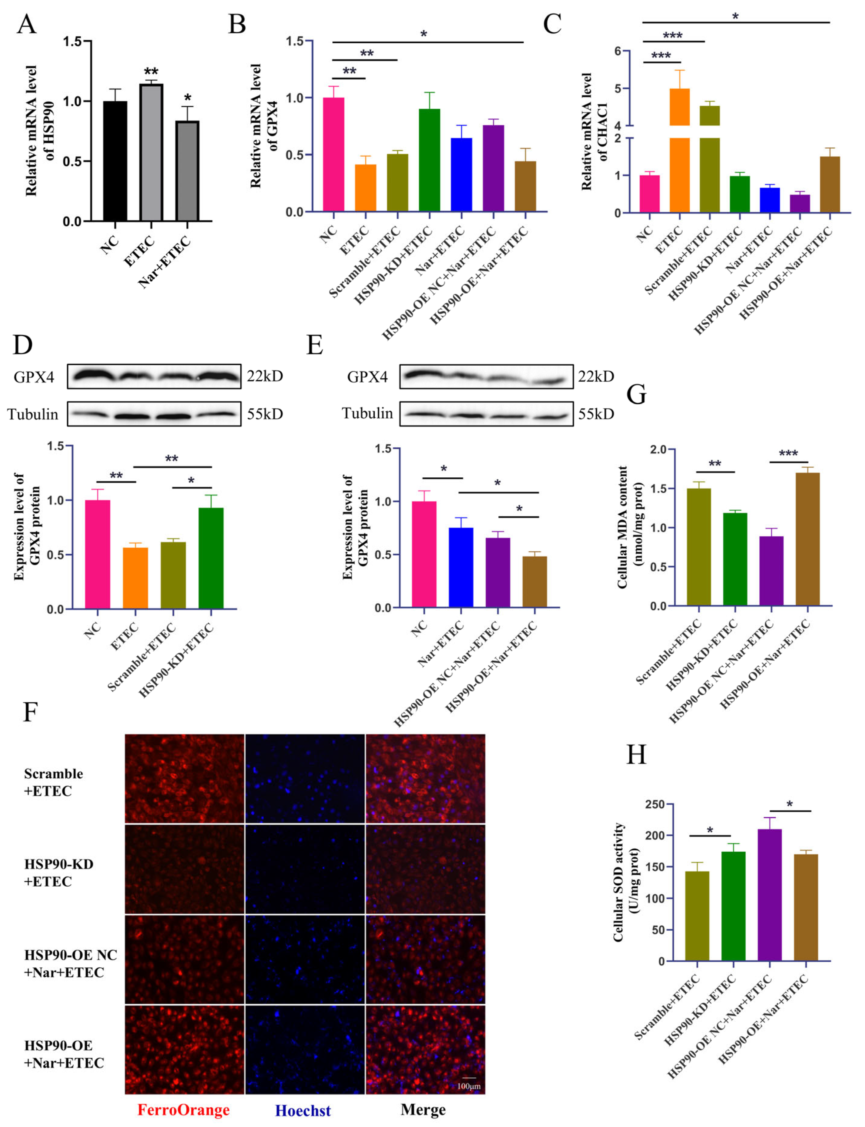 Antioxidants 14 00914 g006