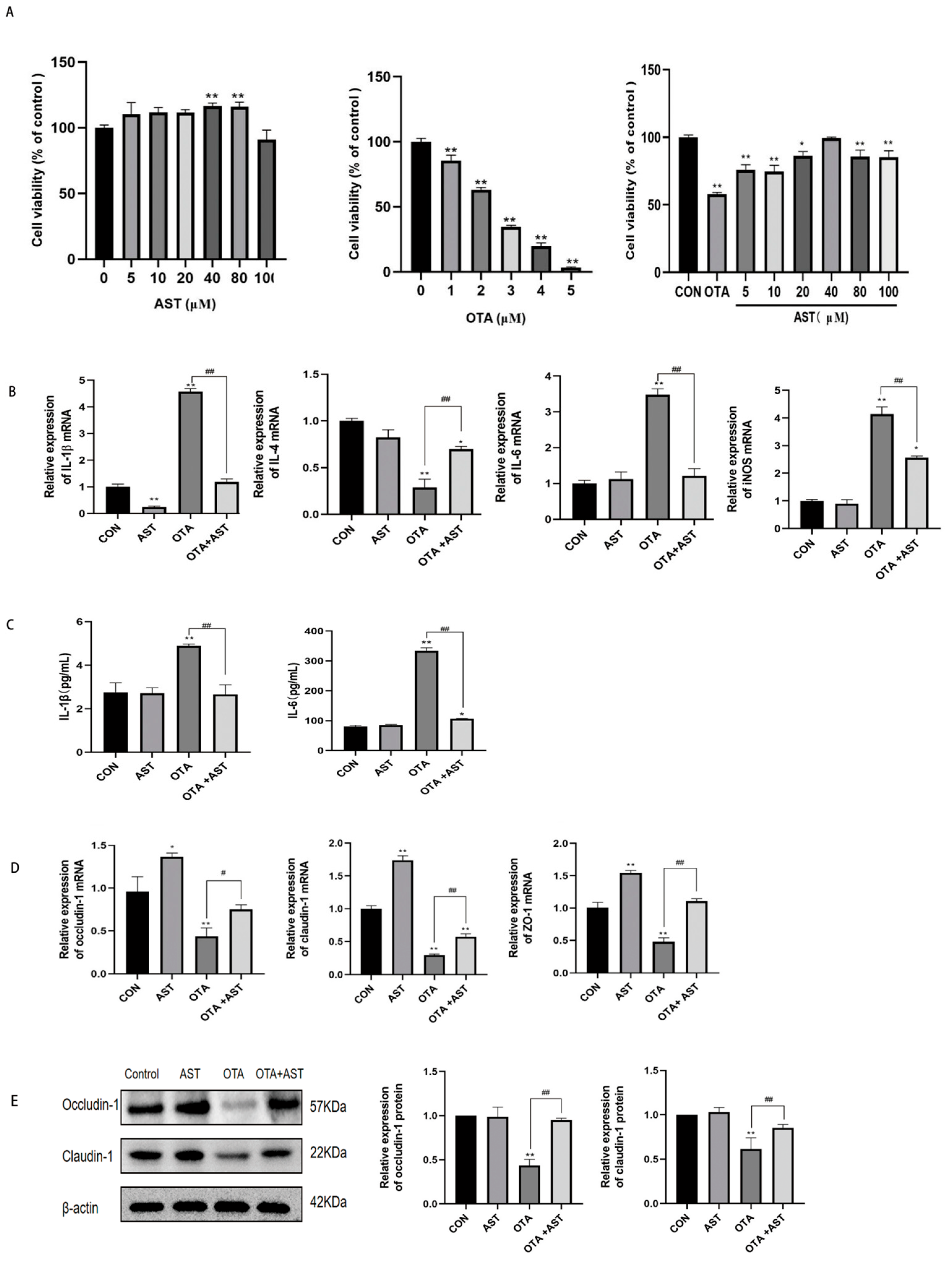Antioxidants 14 00915 g004 Antioxidants 14 00915 g004