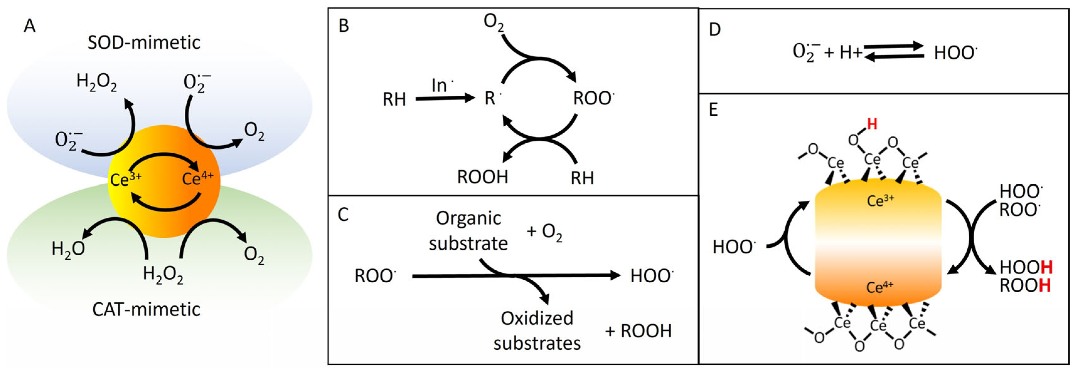 Antioxidants 14 00916 g001