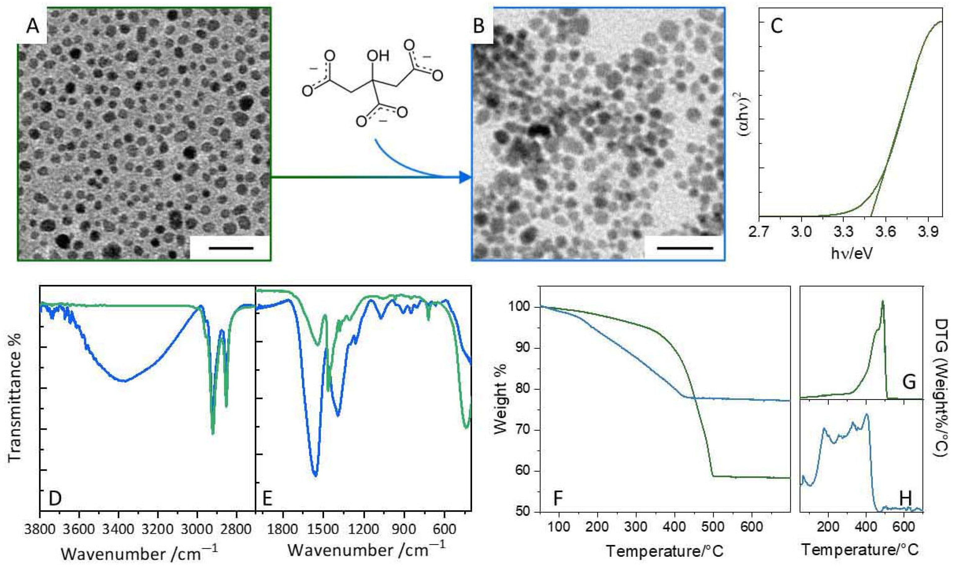 Antioxidants 14 00916 g002