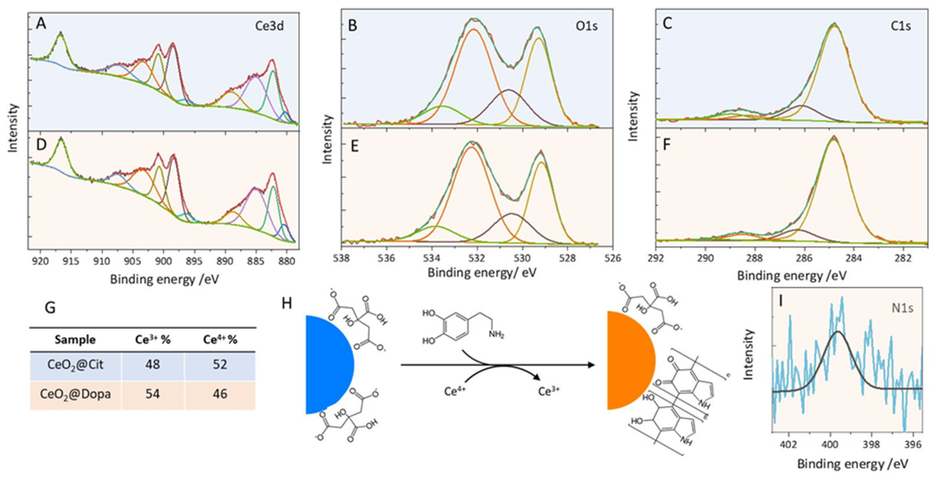 Antioxidants 14 00916 g003
