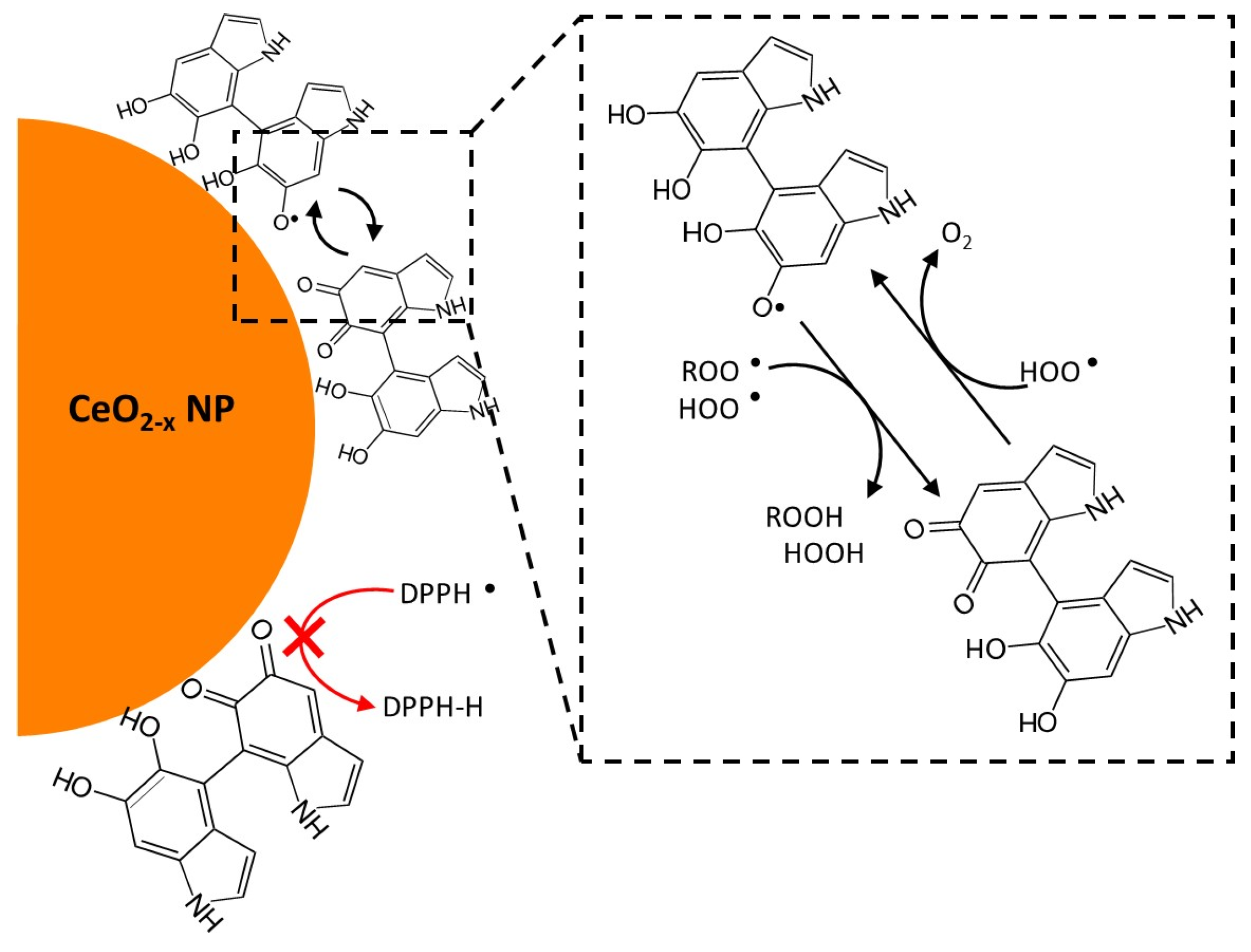 Antioxidants 14 00916 sch001