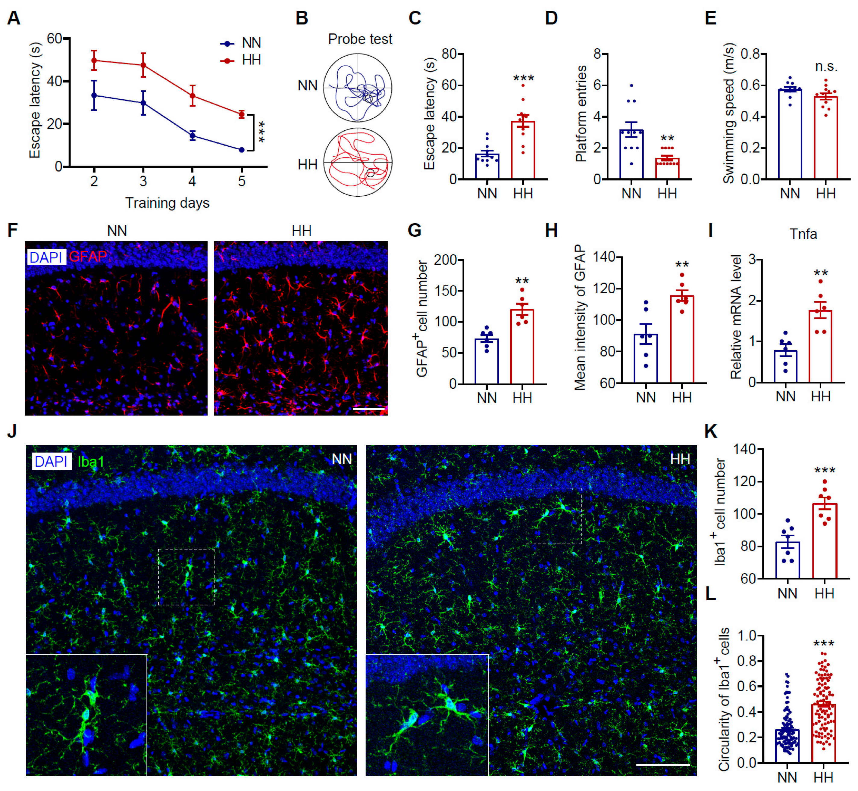 Antioxidants 14 00918 g001