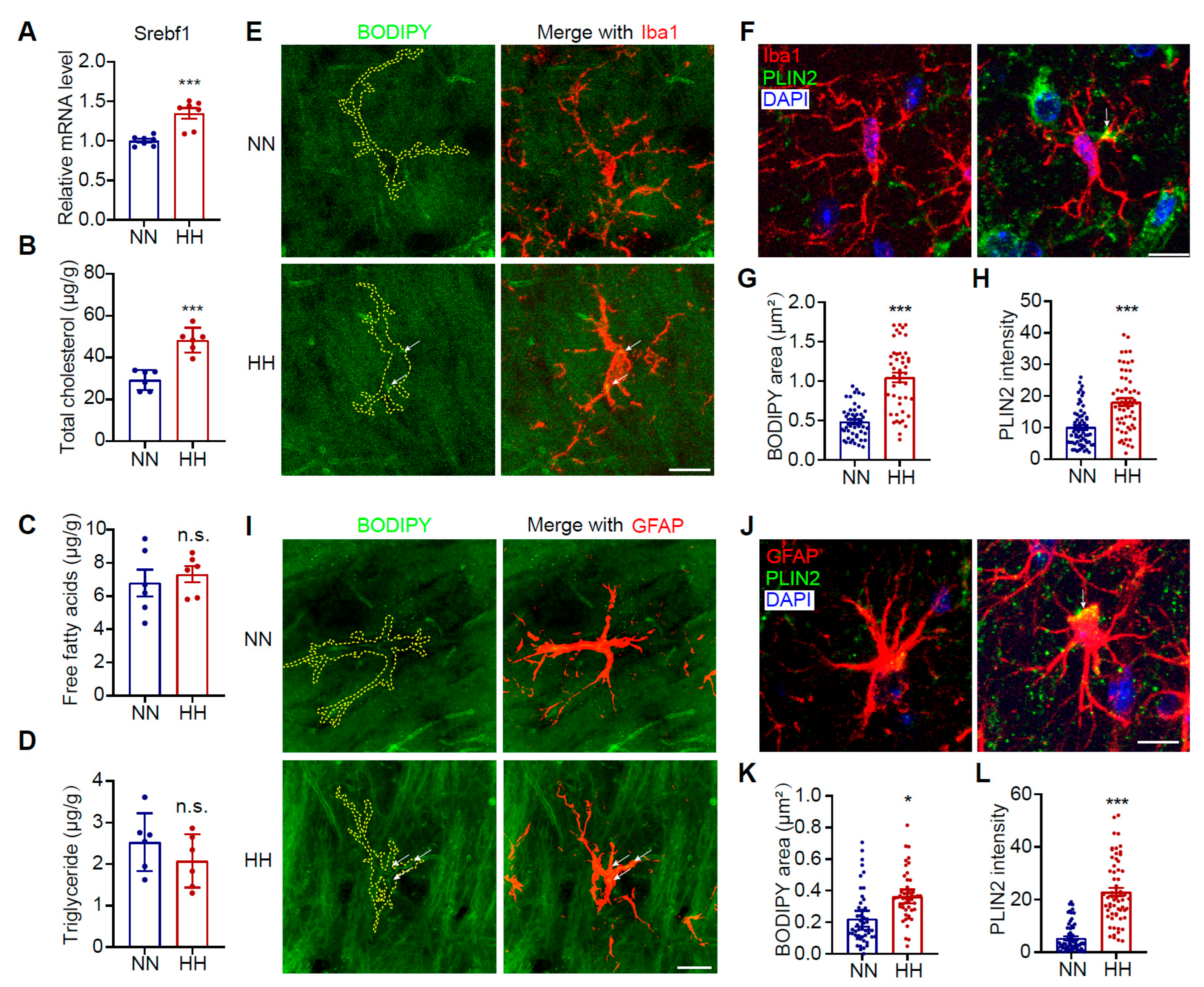 Antioxidants 14 00918 g002