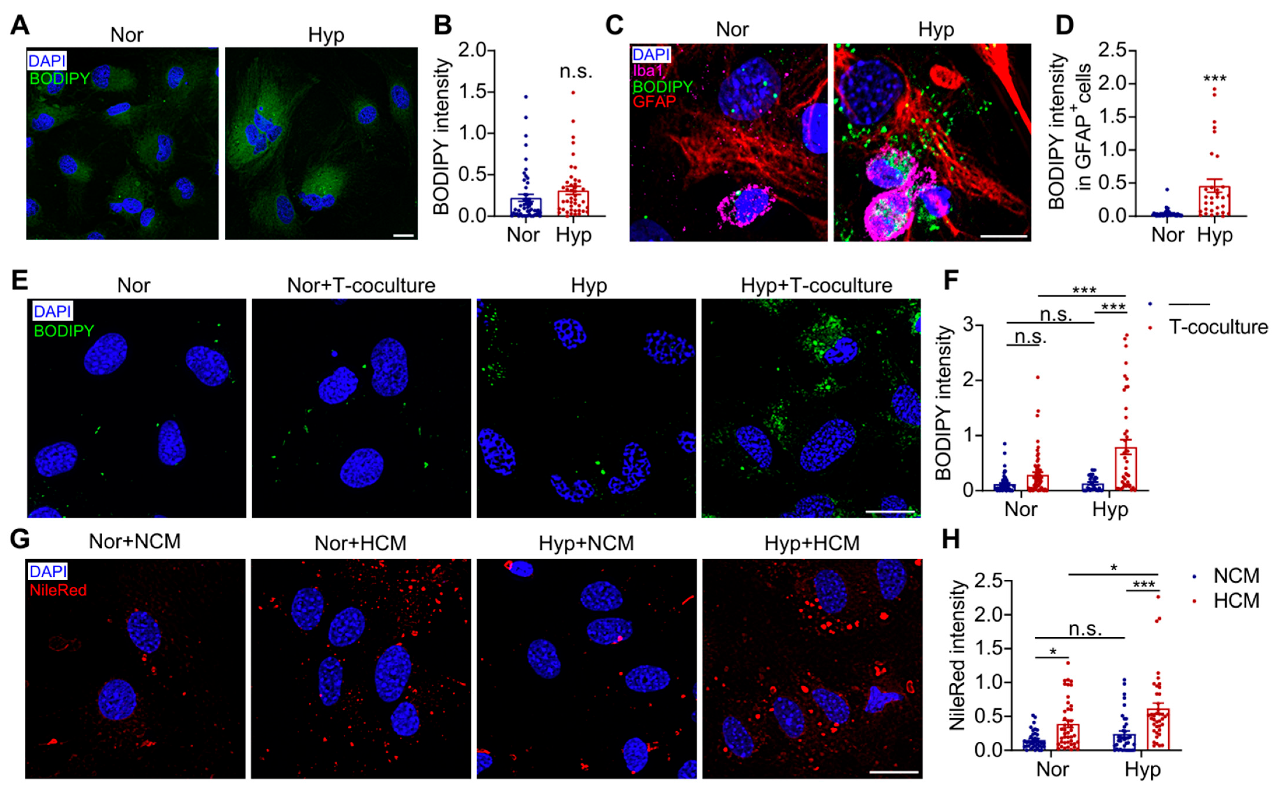 Antioxidants 14 00918 g004