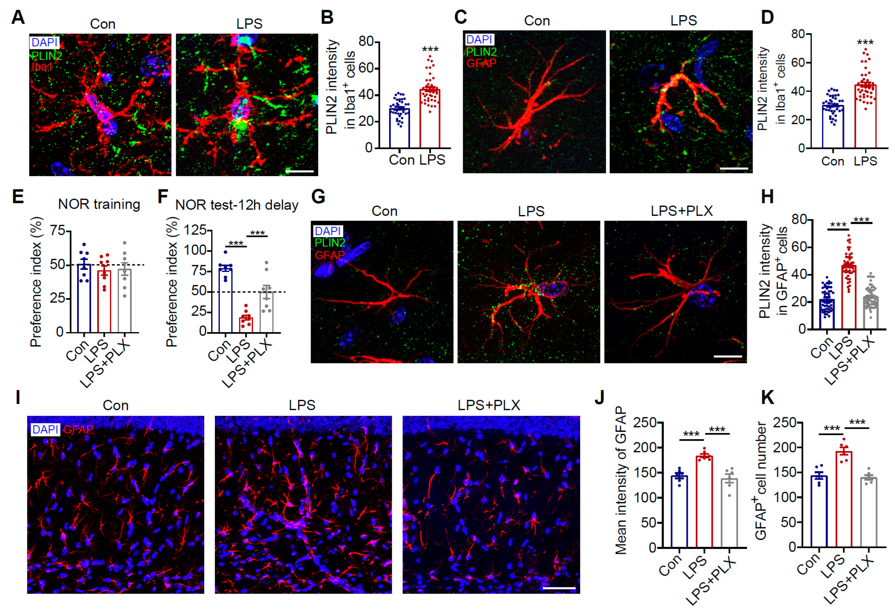 Antioxidants 14 00918 g006