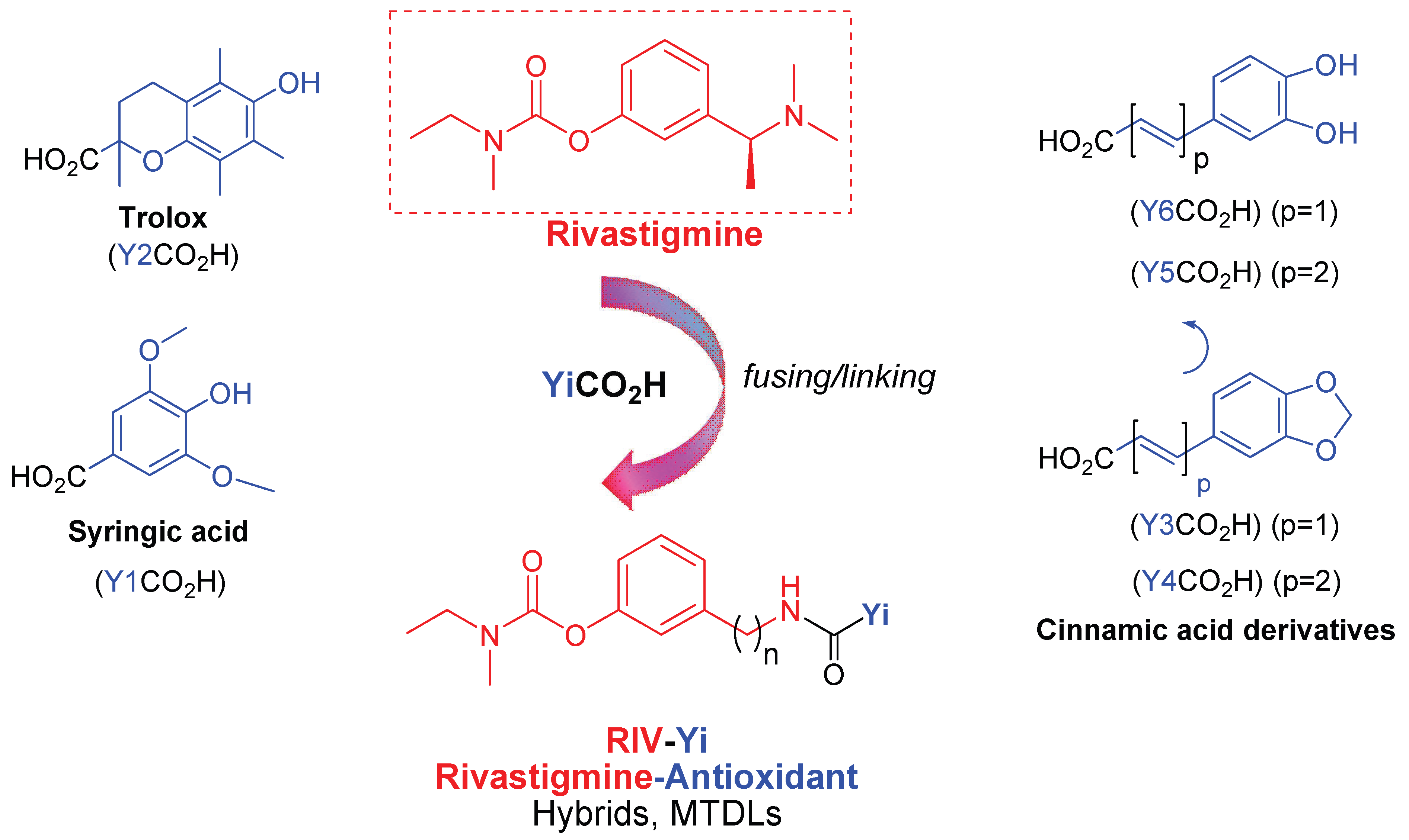 Antioxidants 14 00921 g001