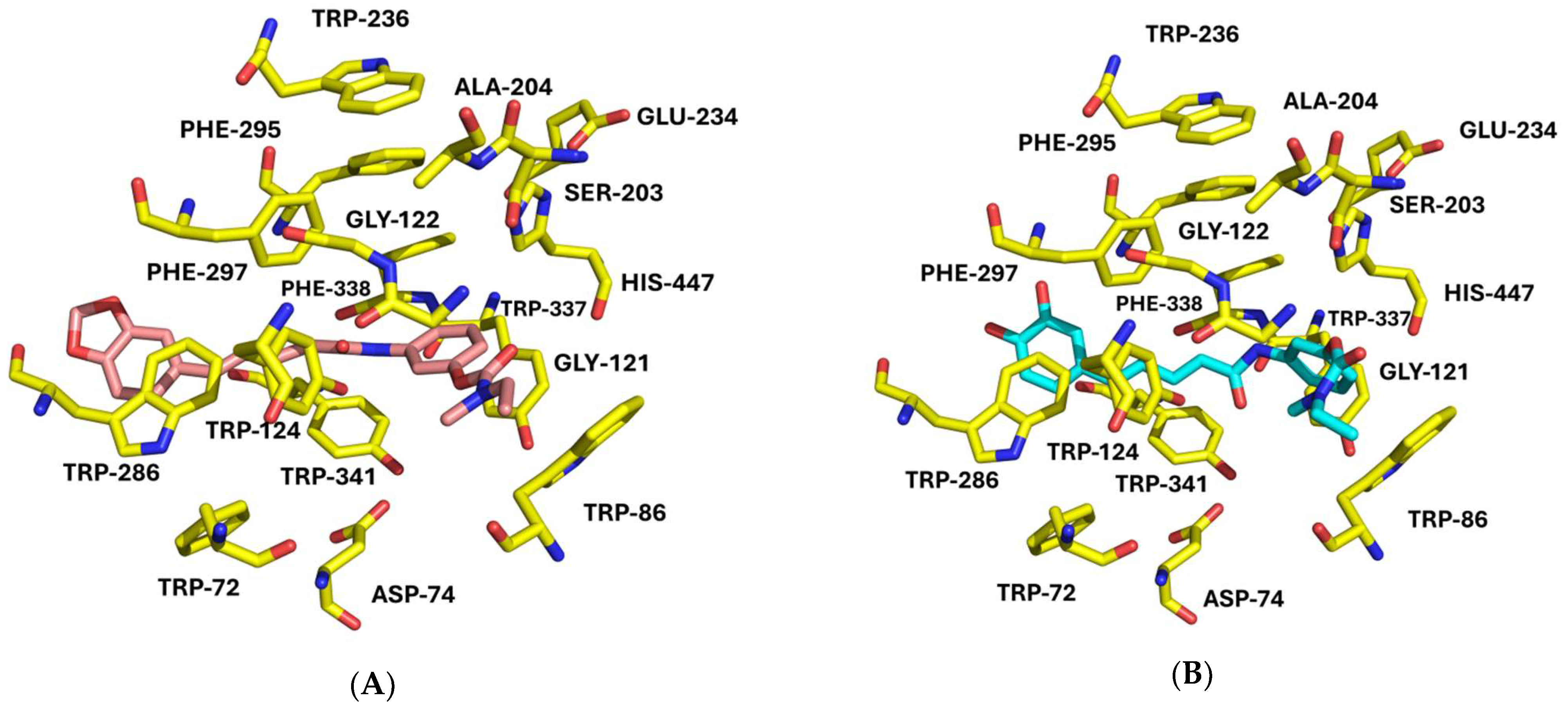 Antioxidants 14 00921 g002