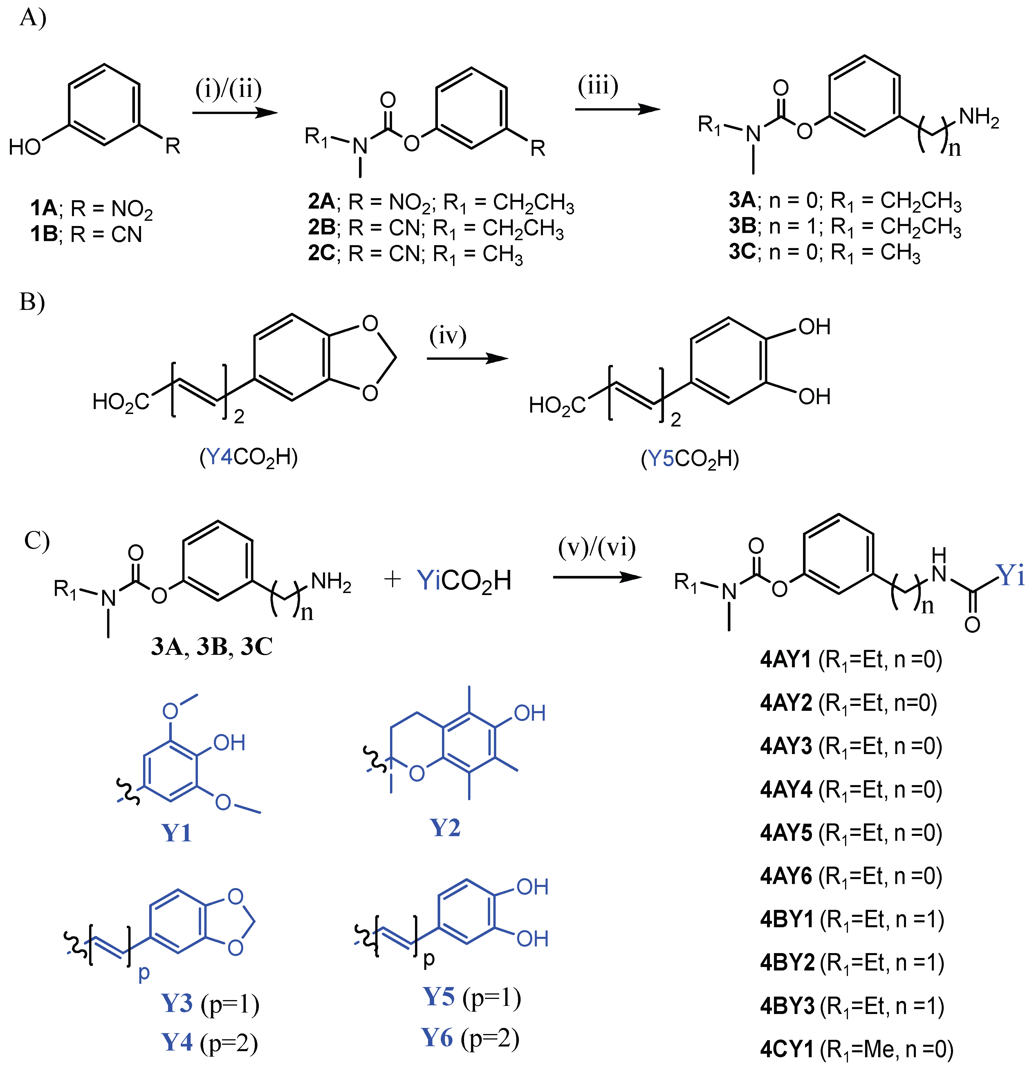 Antioxidants 14 00921 sch001