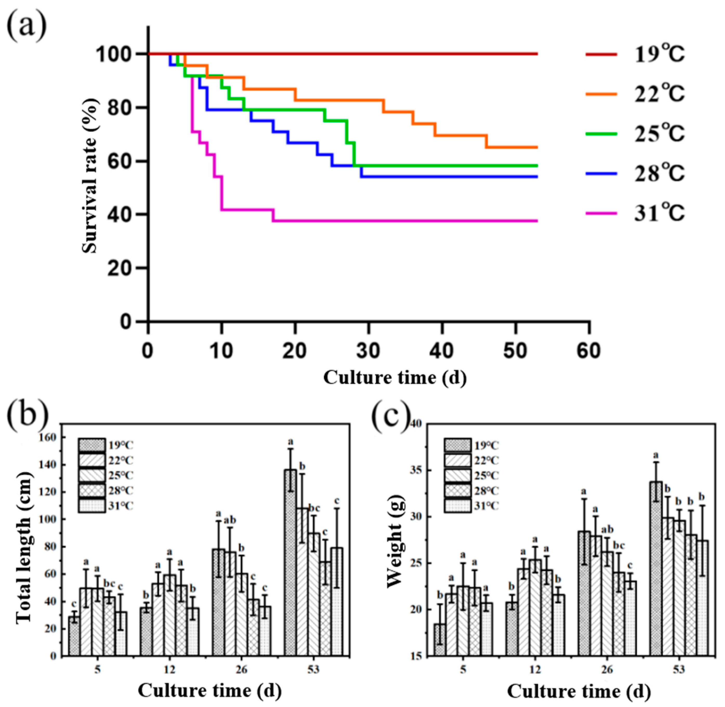 Antioxidants 14 00926 g001