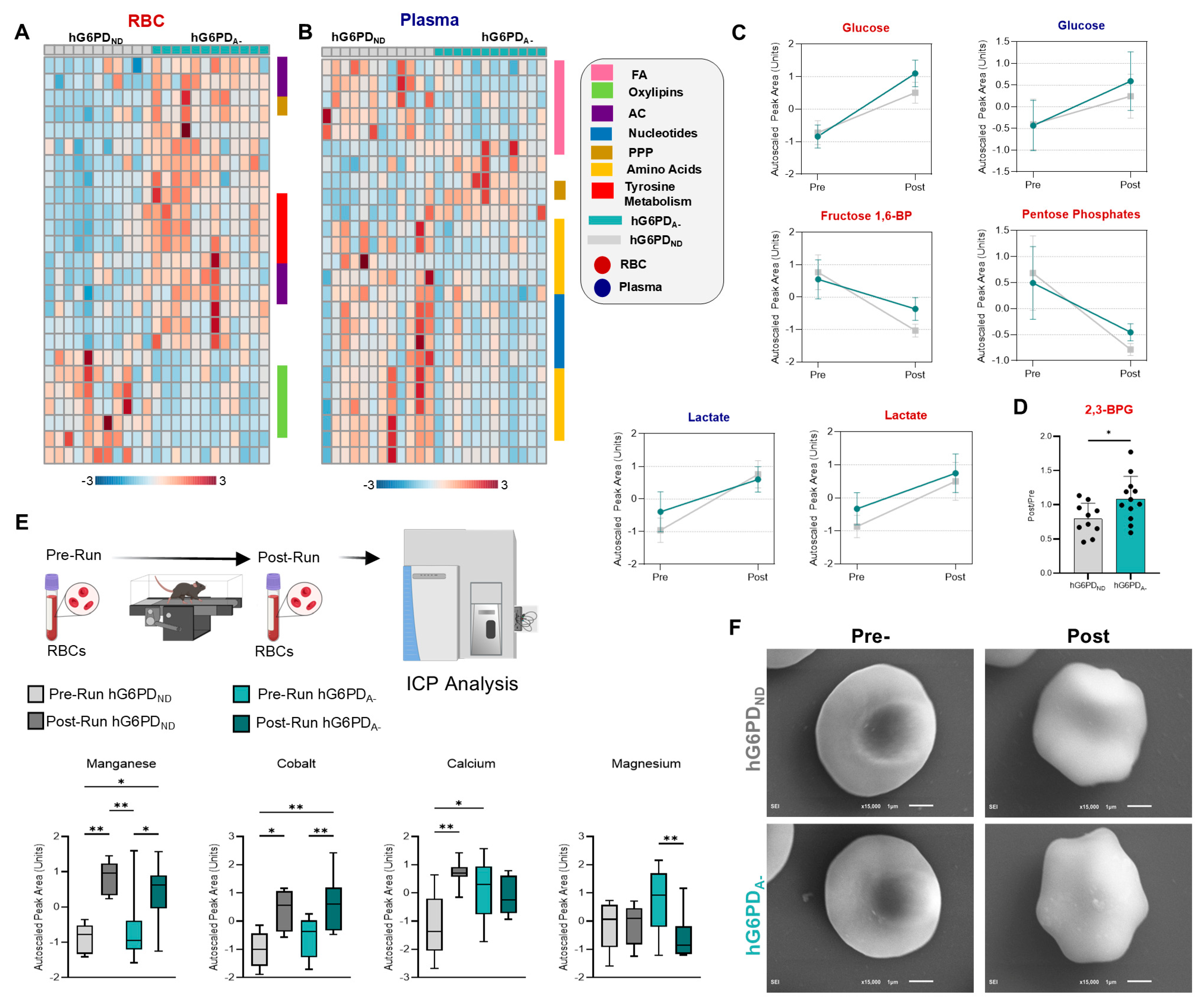 Antioxidants 14 00927 g002